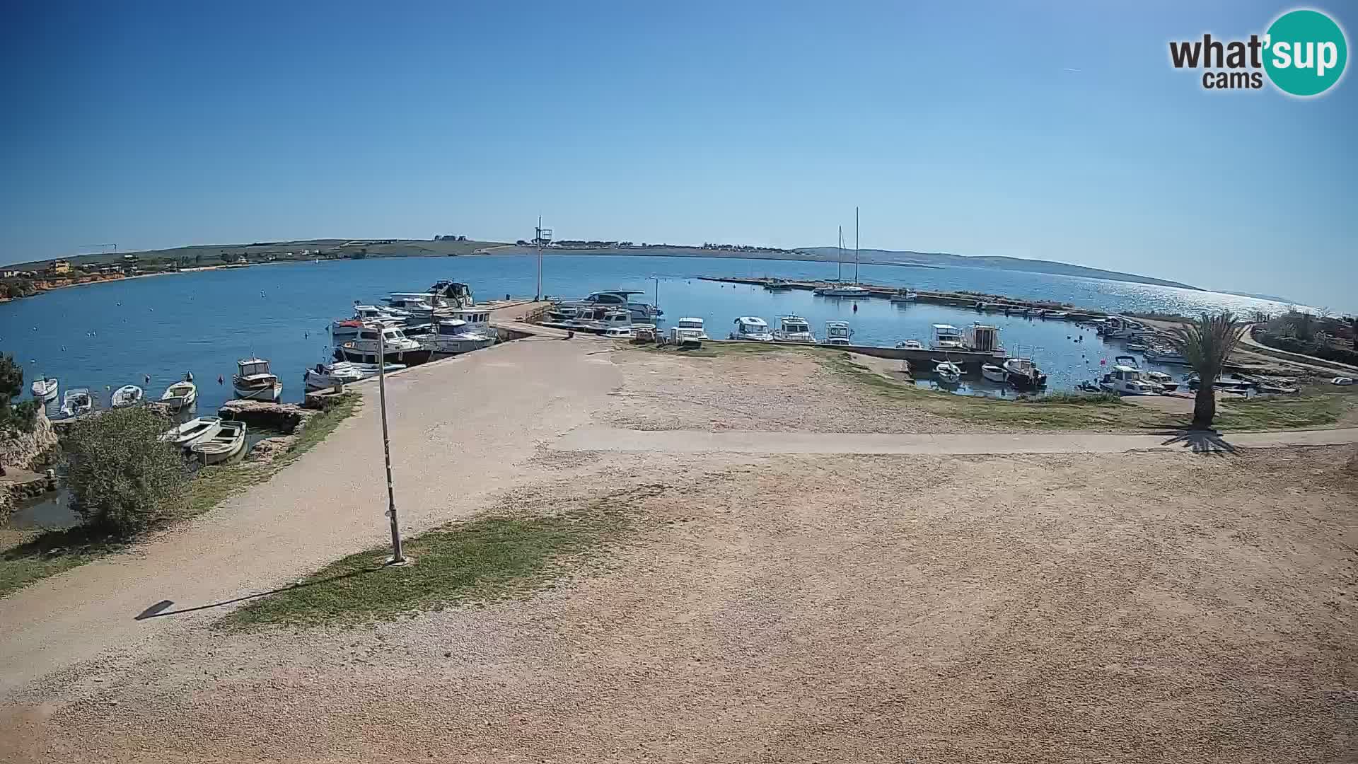 Camera en vivo Povljana – Pag isla