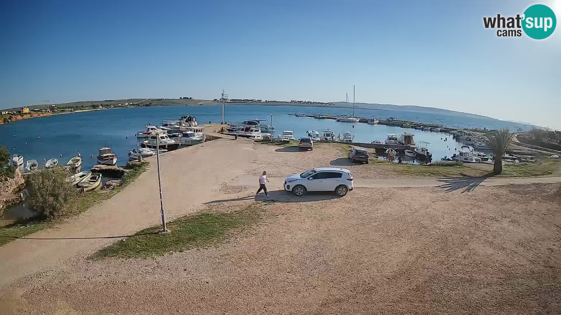 Camera en vivo Povljana – Pag isla