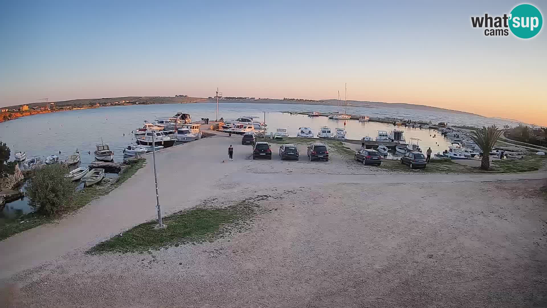 Camera en vivo Povljana – Pag isla