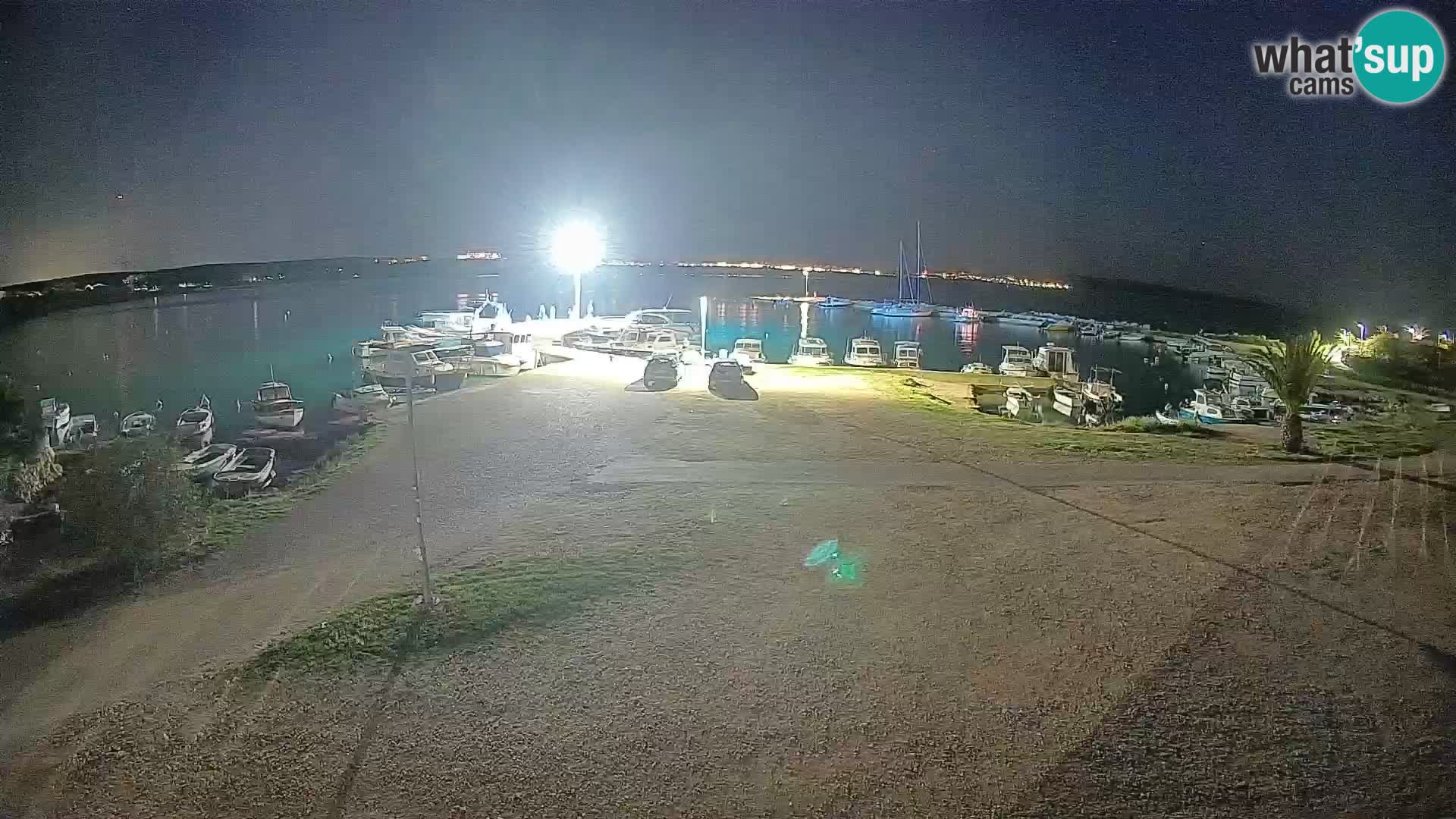 Camera en vivo Povljana – Pag isla