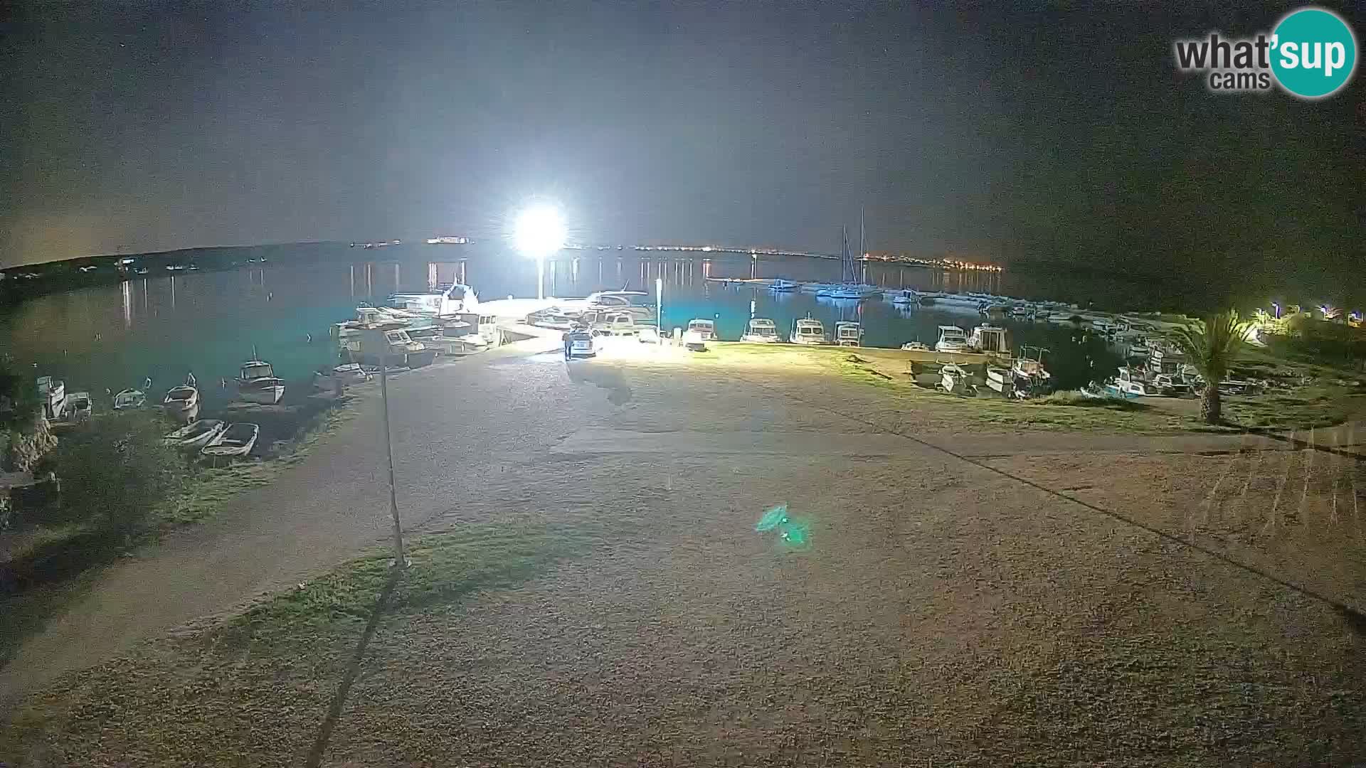 Camera en vivo Povljana – Pag isla