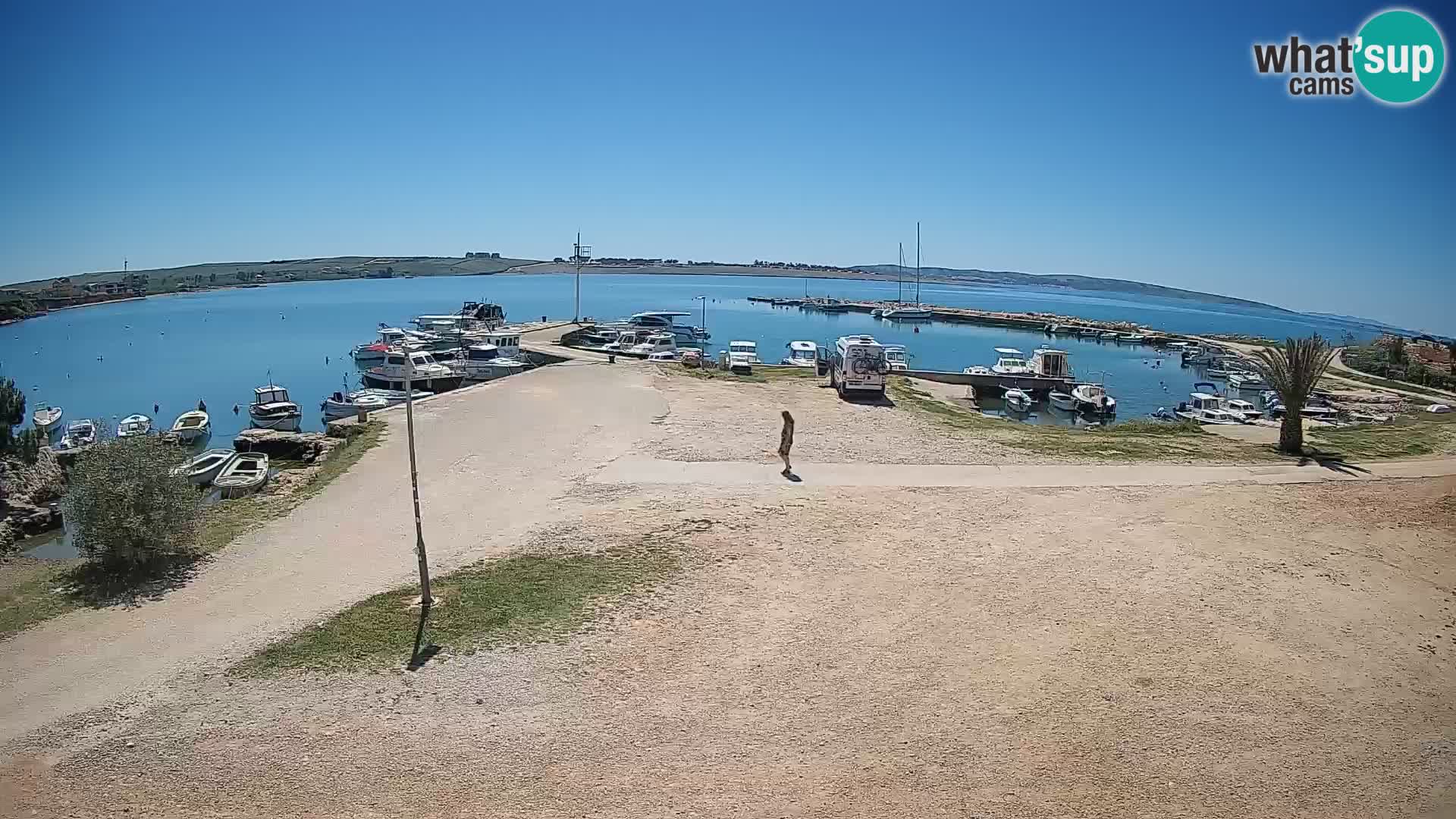 Webcam Povljana – Pag island
