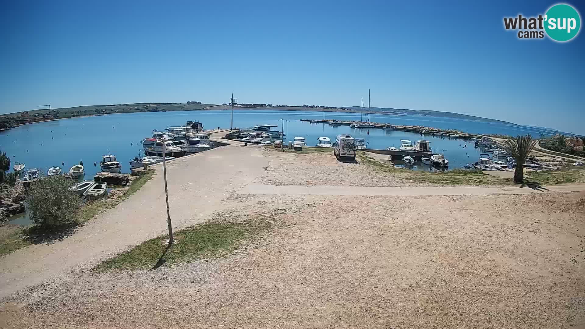 Camera en vivo Povljana – Pag isla
