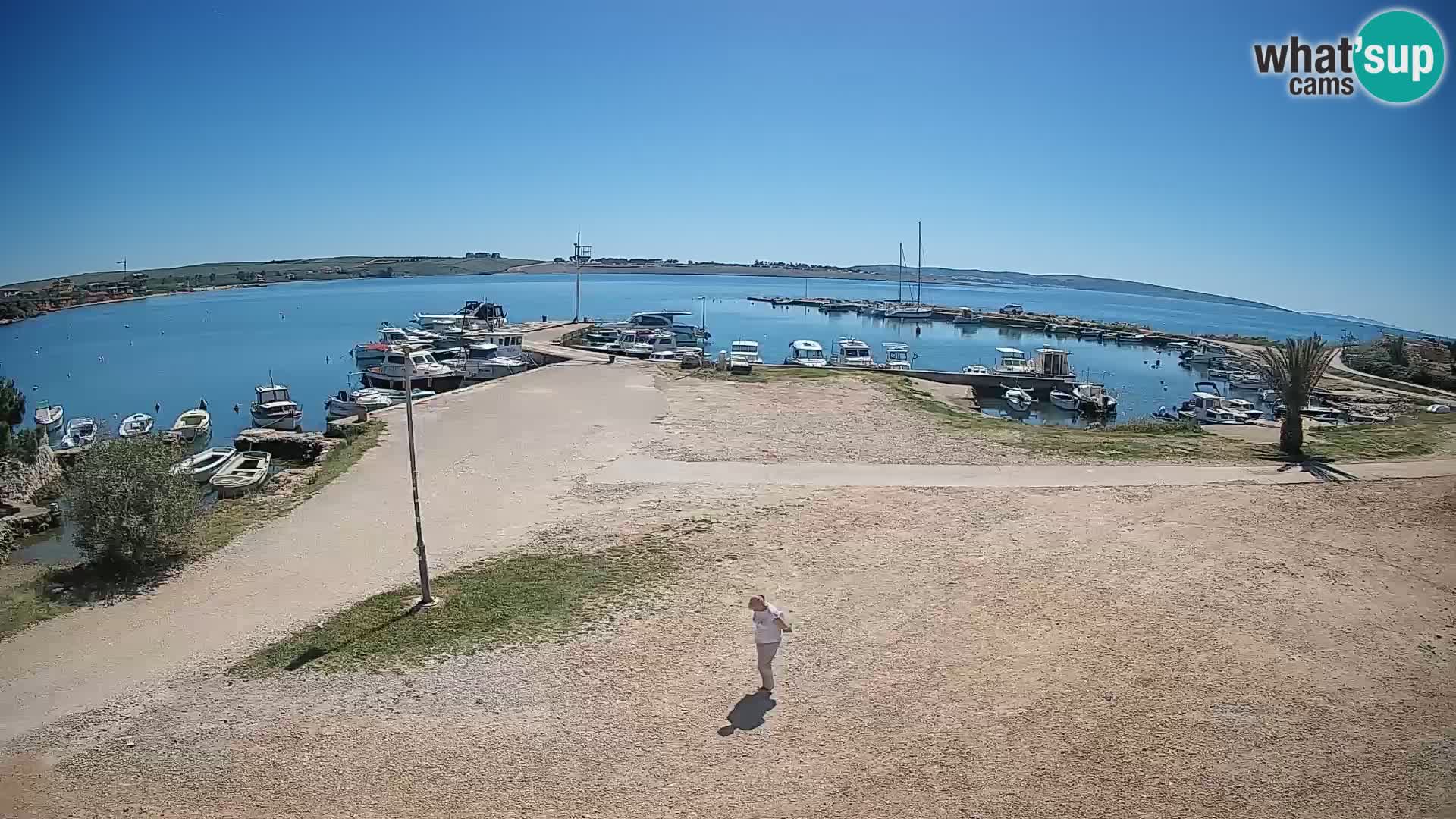 Webcam Povljana – Pag insel