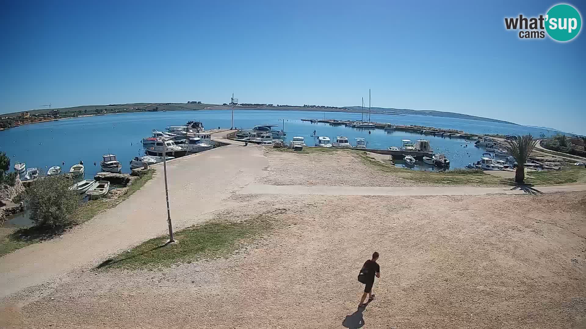 Camera en vivo Povljana – Pag isla