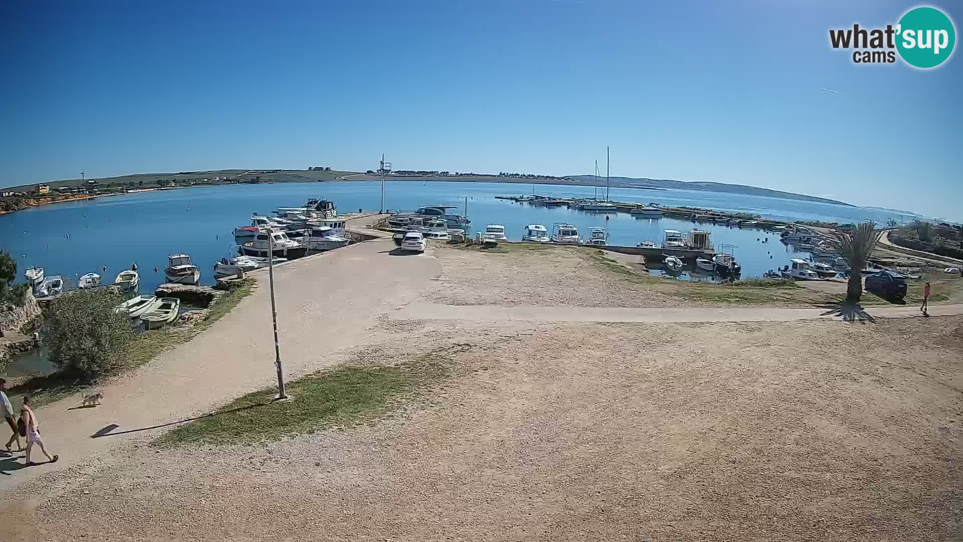 Camera en vivo Povljana – Pag isla