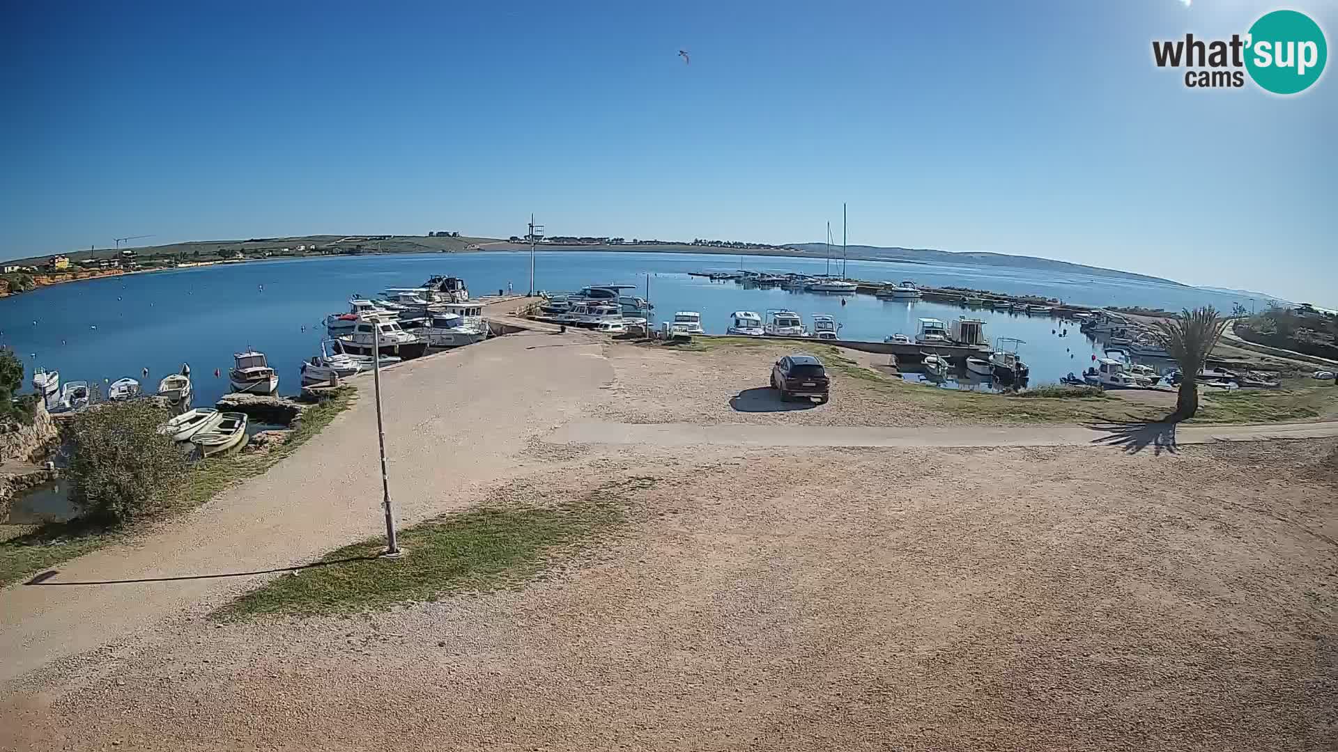 Livecam Pogliana – isola di Pago