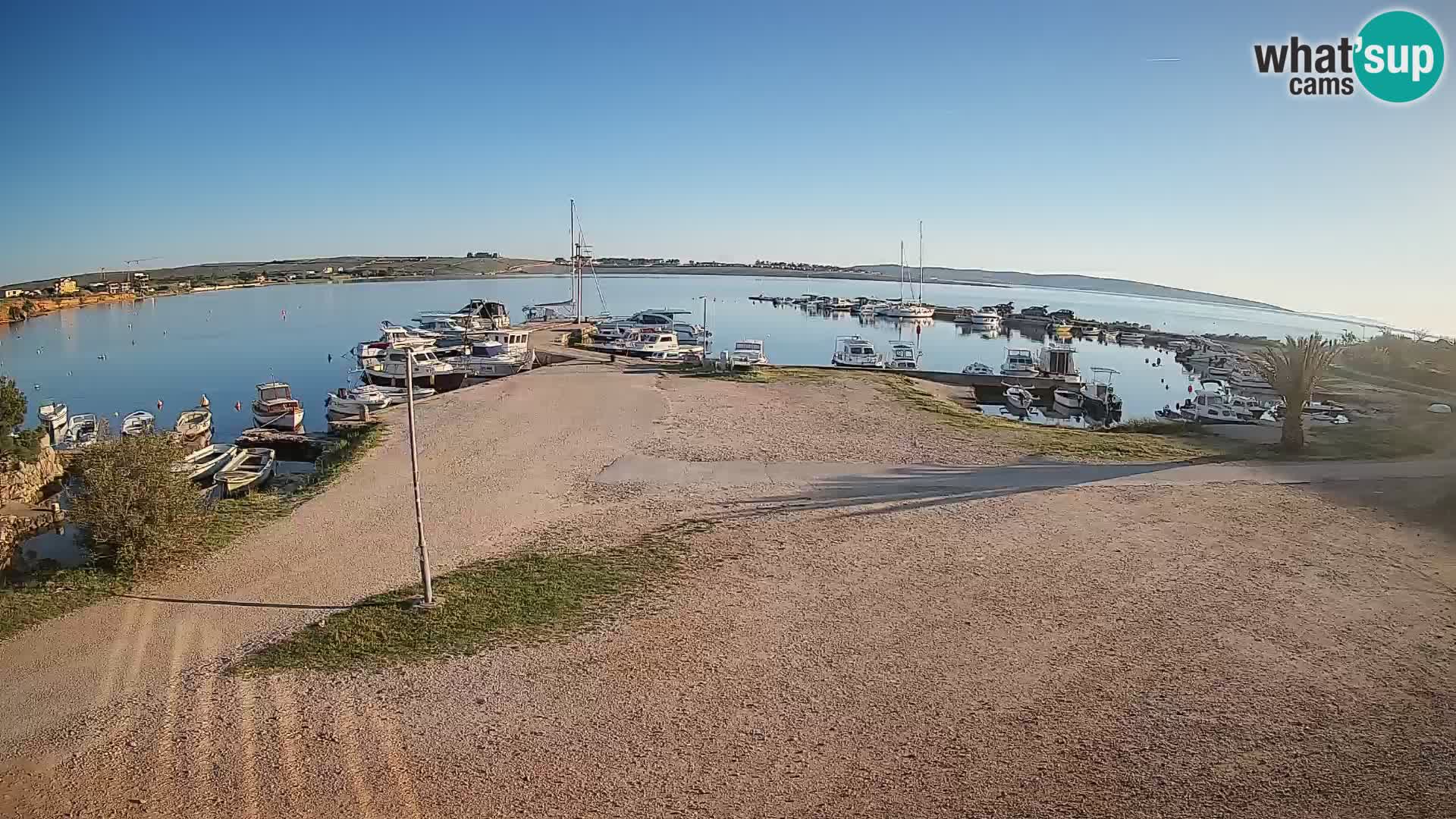 Camera en vivo Povljana – Pag isla