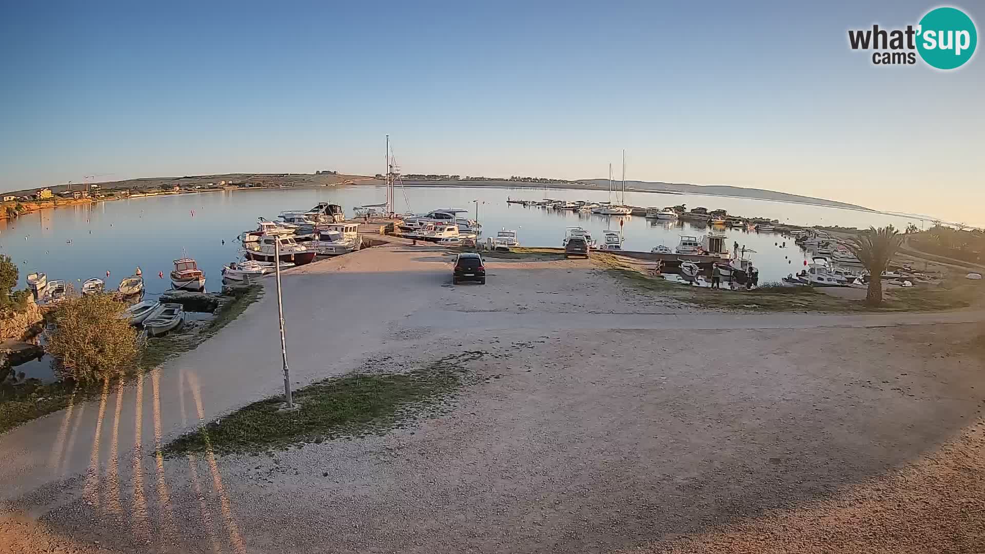Camera en vivo Povljana – Pag isla