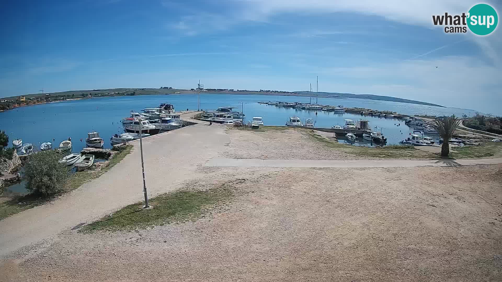Livecam Pogliana – isola di Pago