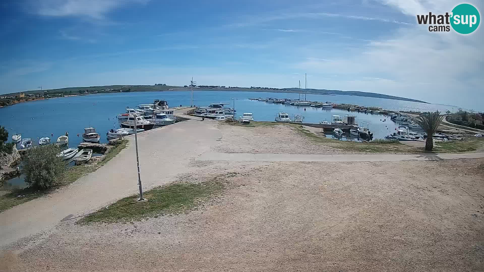 Camera en vivo Povljana – Pag isla