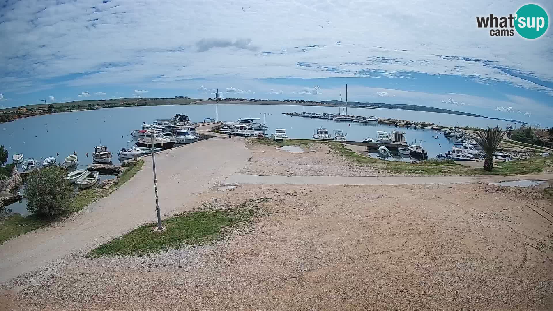 Livecam Pogliana – isola di Pago