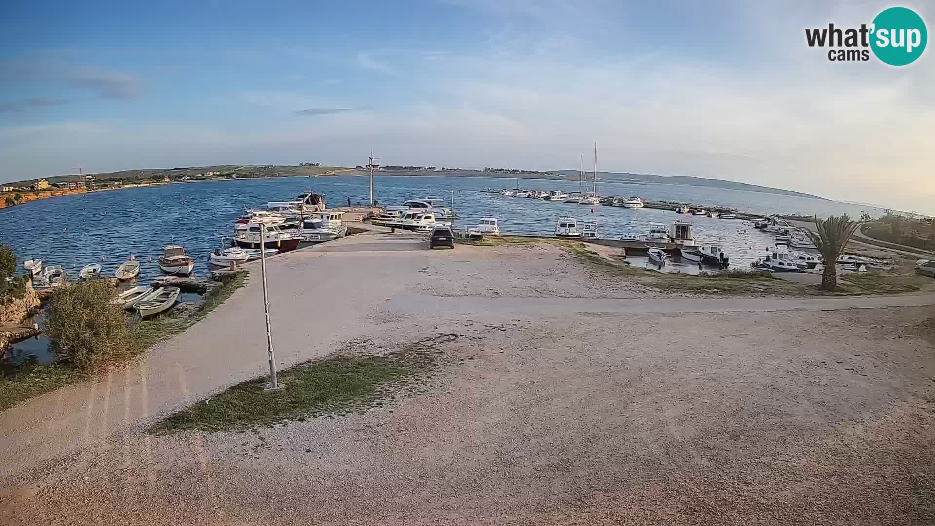 Camera en vivo Povljana – Pag isla