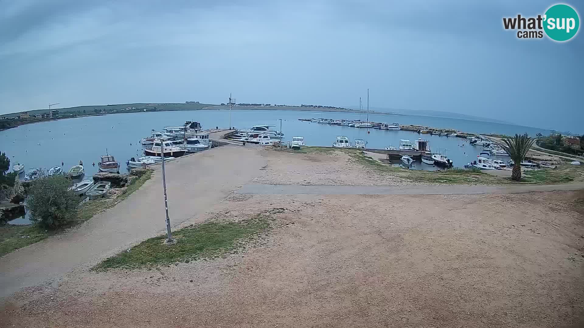 Camera en vivo Povljana – Pag isla
