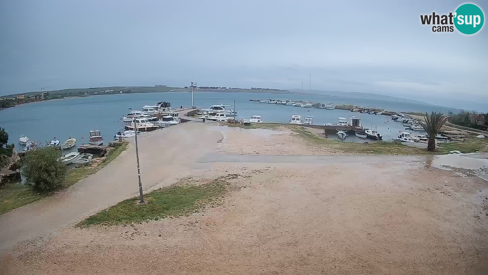 Camera en vivo Povljana – Pag isla