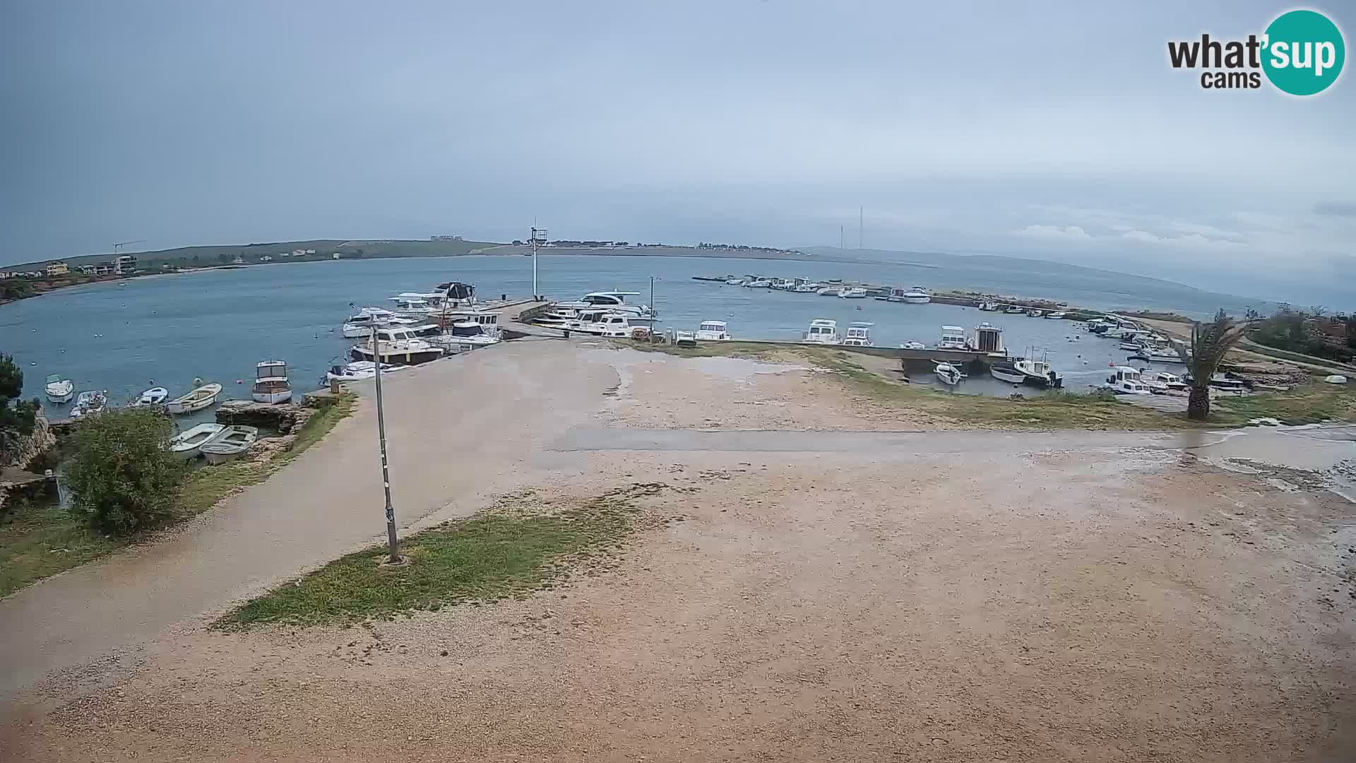 Camera en vivo Povljana – Pag isla