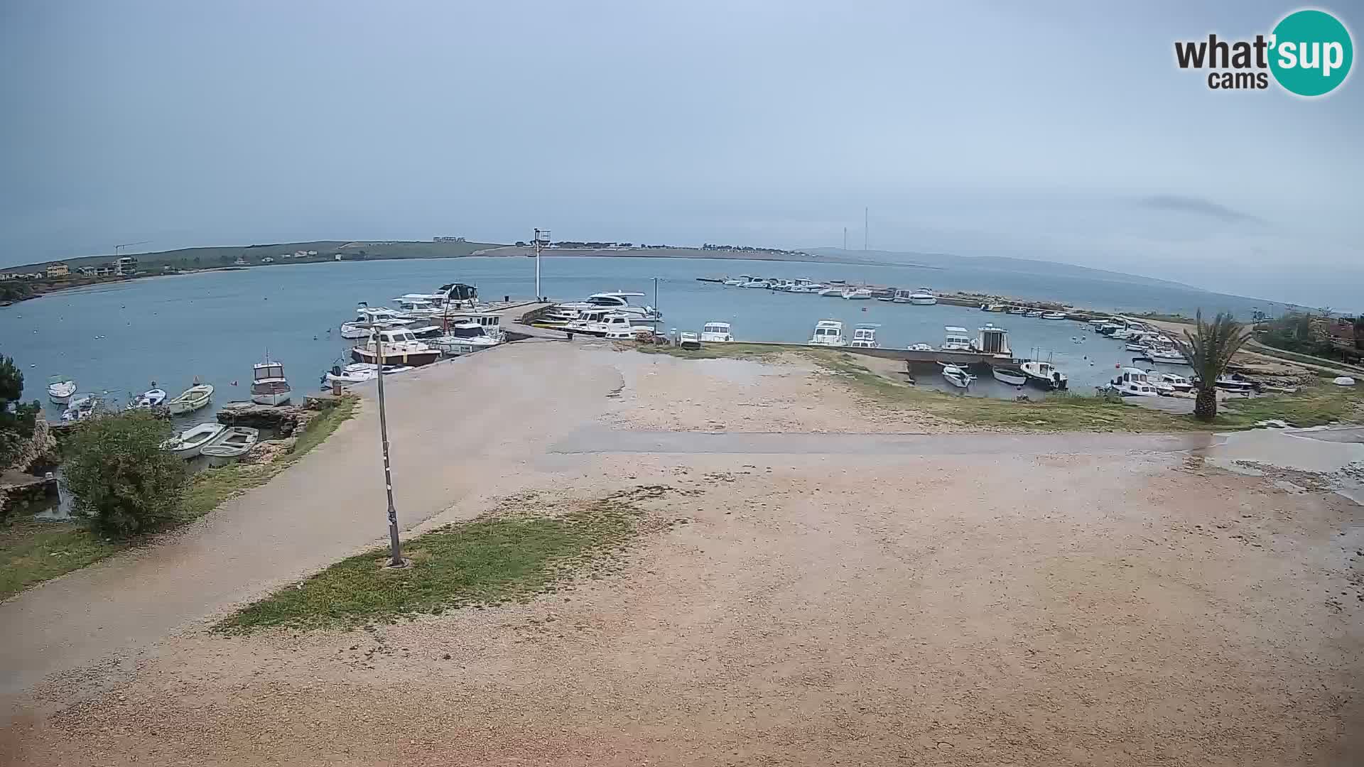 Camera en vivo Povljana – Pag isla
