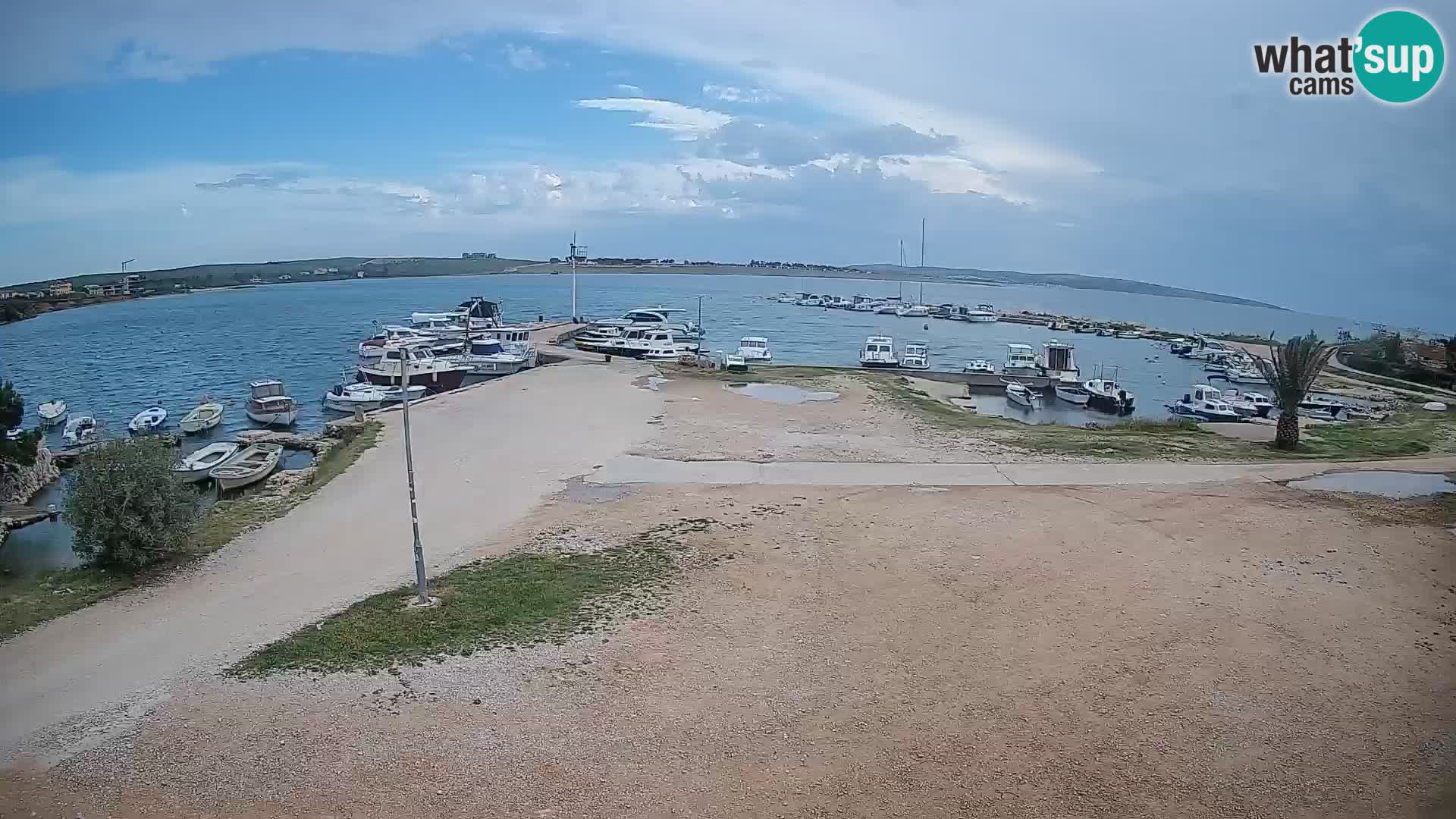 Camera en vivo Povljana – Pag isla