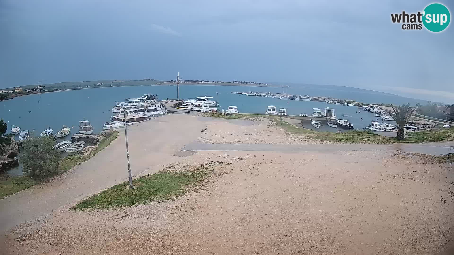 Camera en vivo Povljana – Pag isla