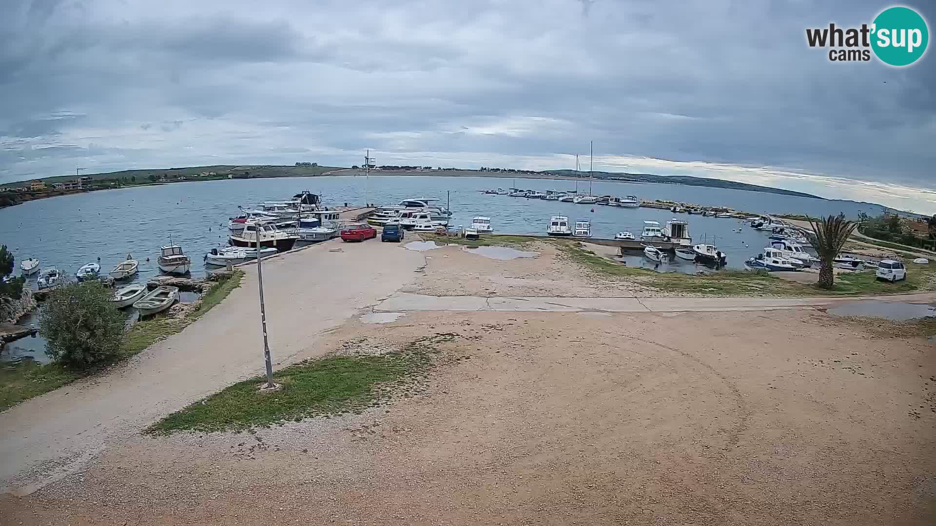 Camera en vivo Povljana – Pag isla