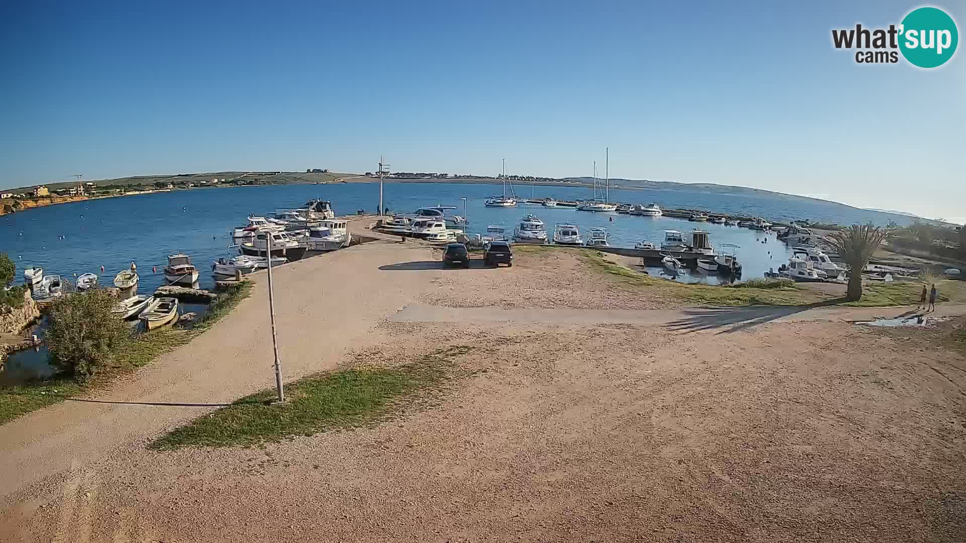 Camera en vivo Povljana – Pag isla