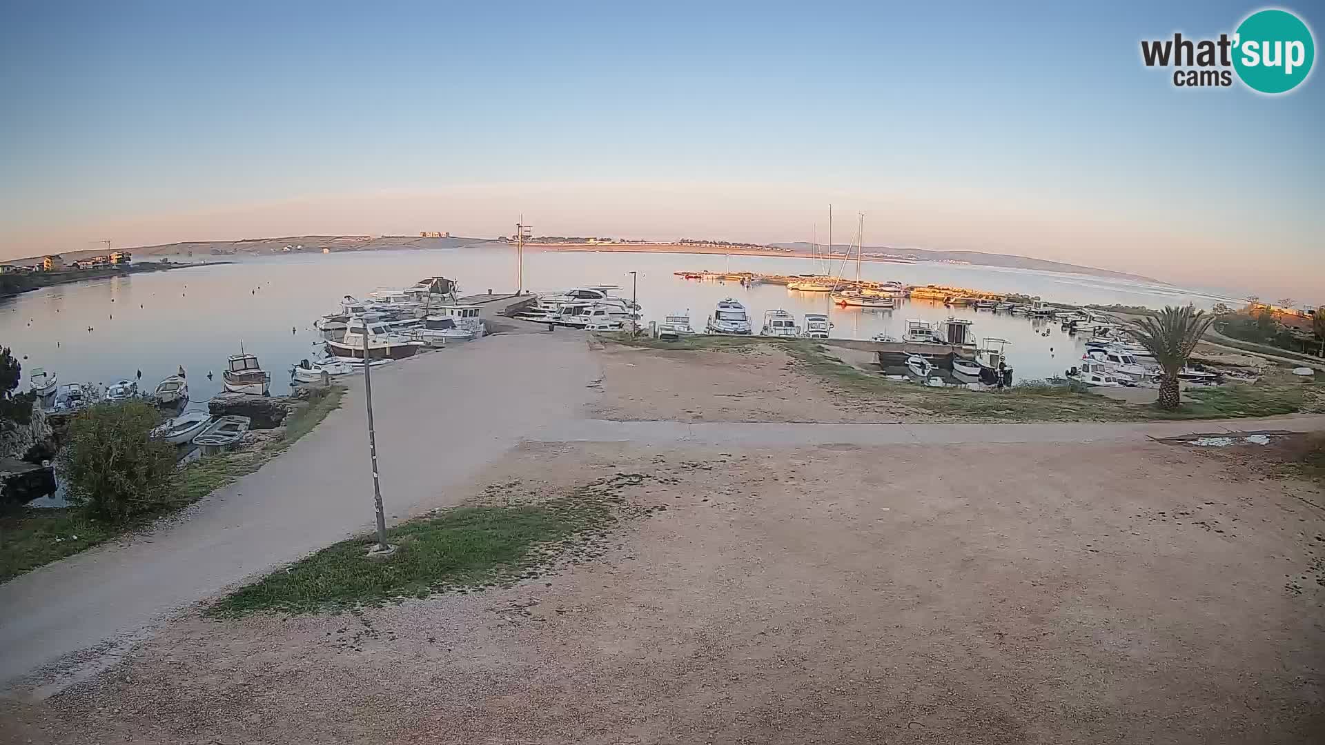 Camera en vivo Povljana – Pag isla