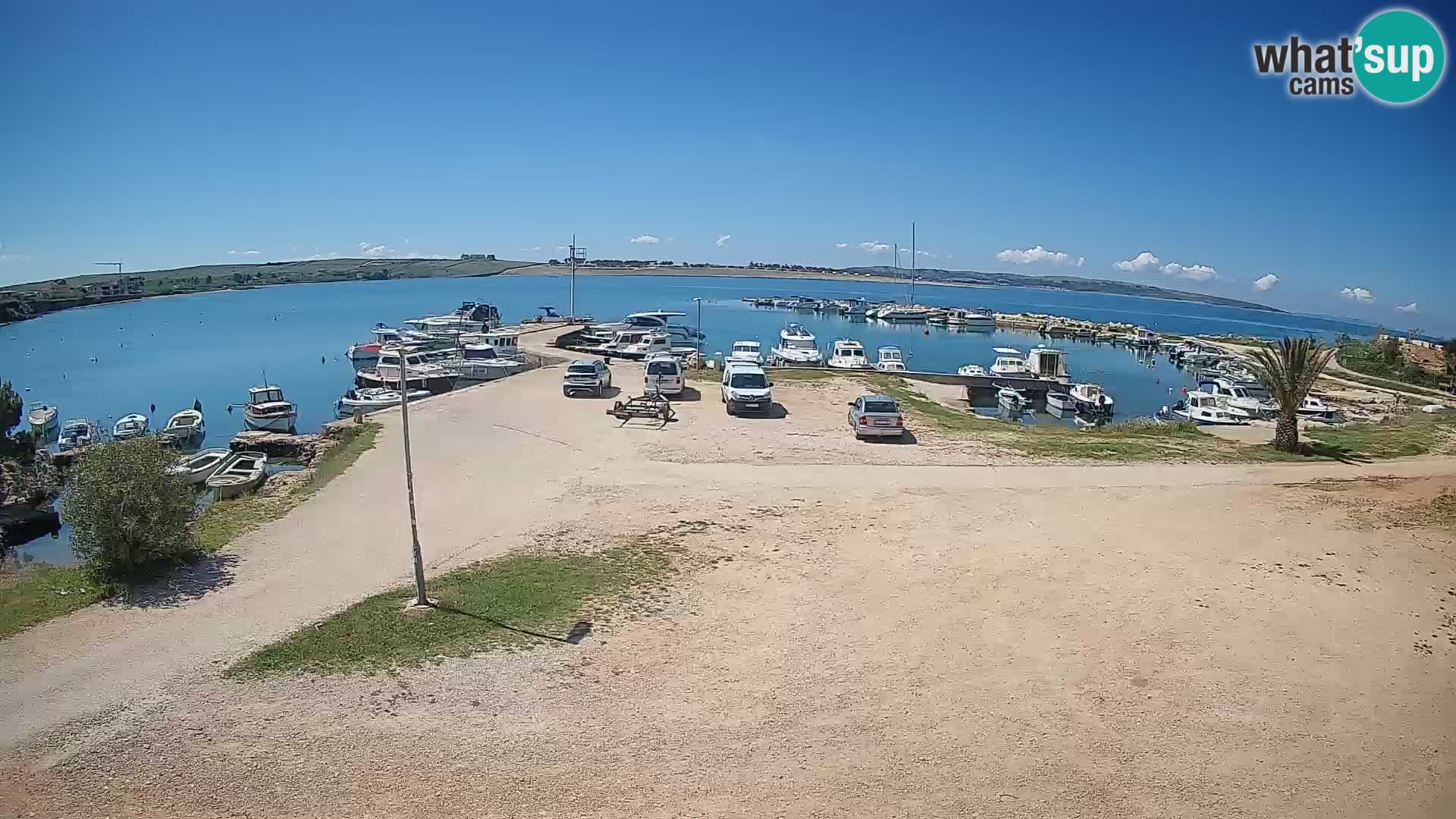 Camera en vivo Povljana – Pag isla