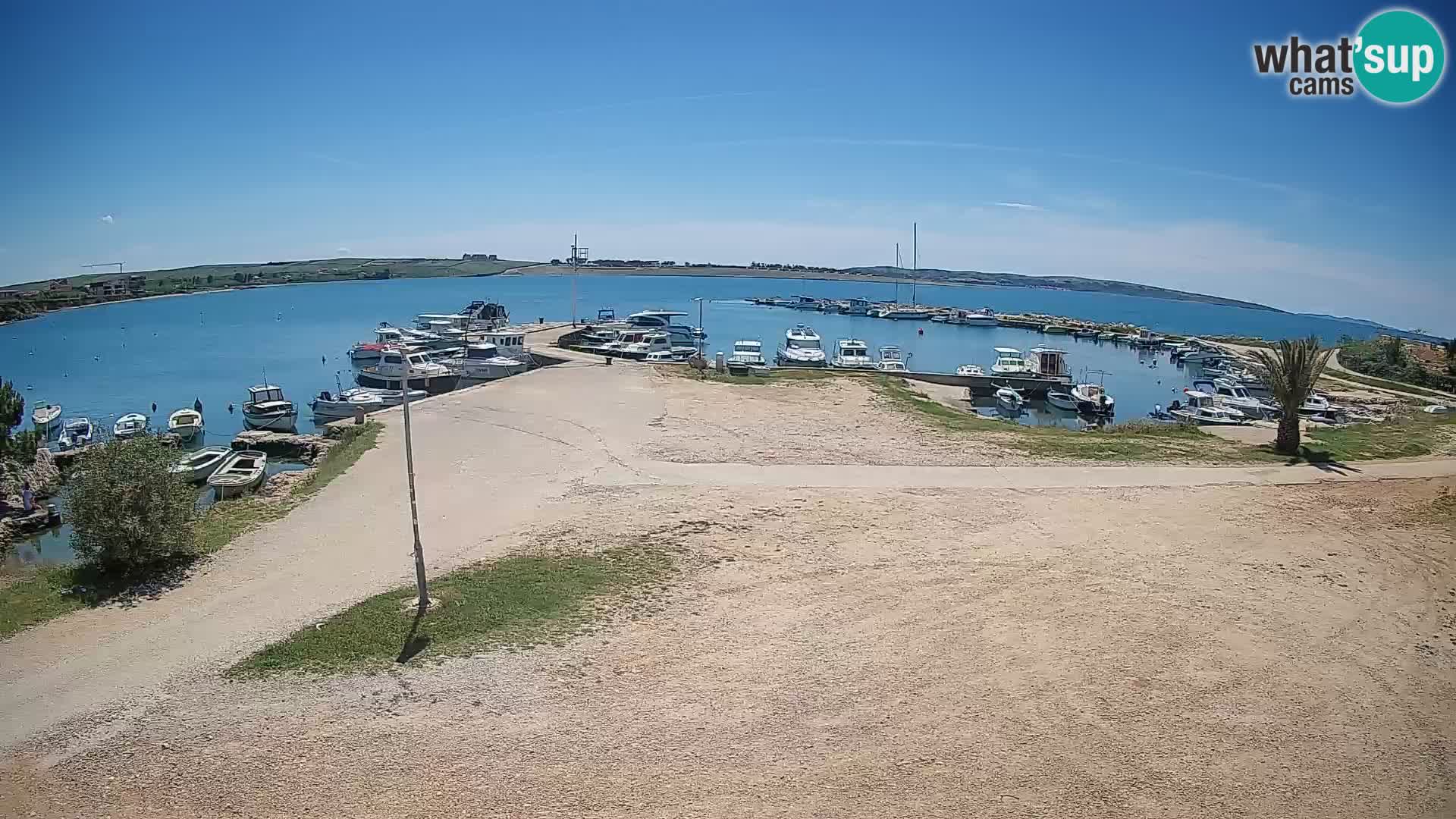 Camera en vivo Povljana – Pag isla