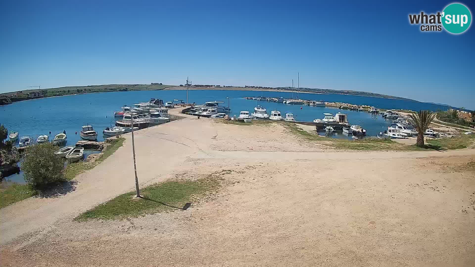 Kamera v živo Povljana – otok Pag