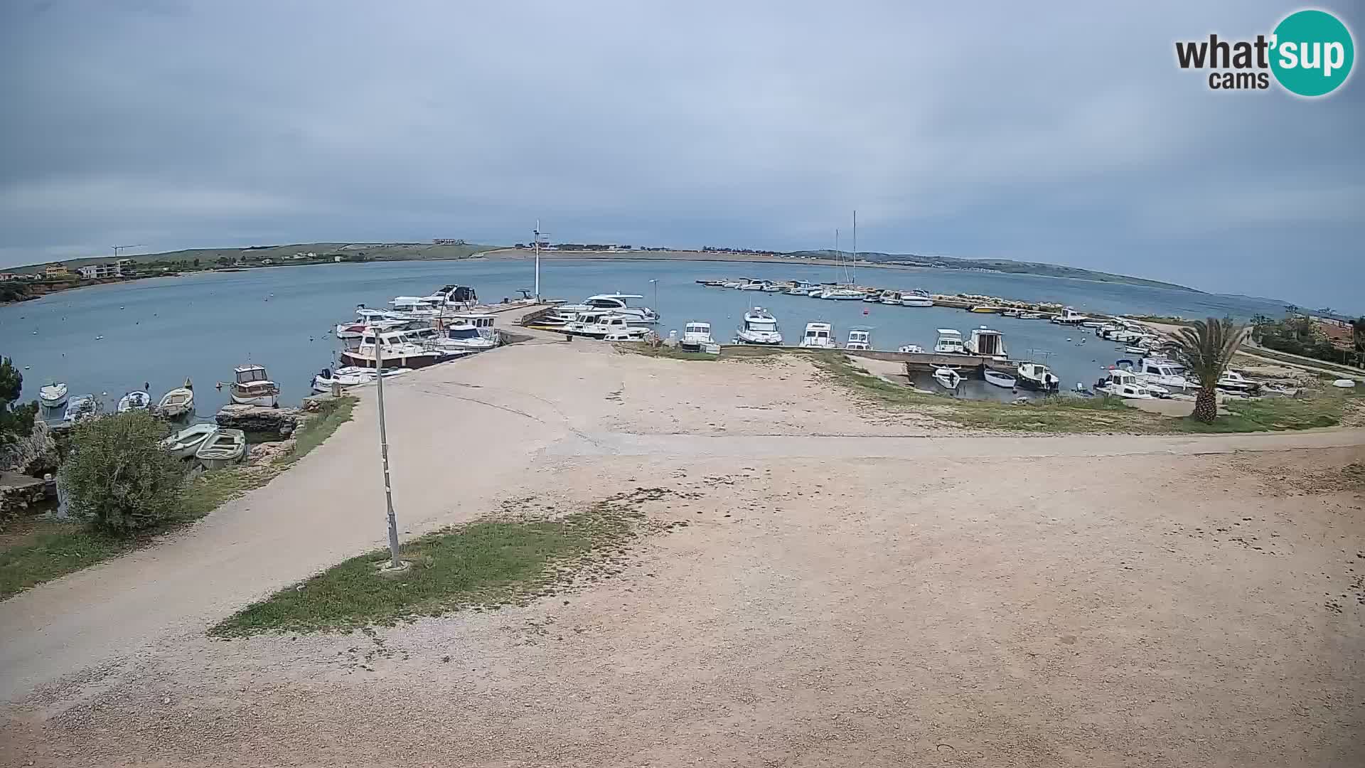 Camera en vivo Povljana – Pag isla