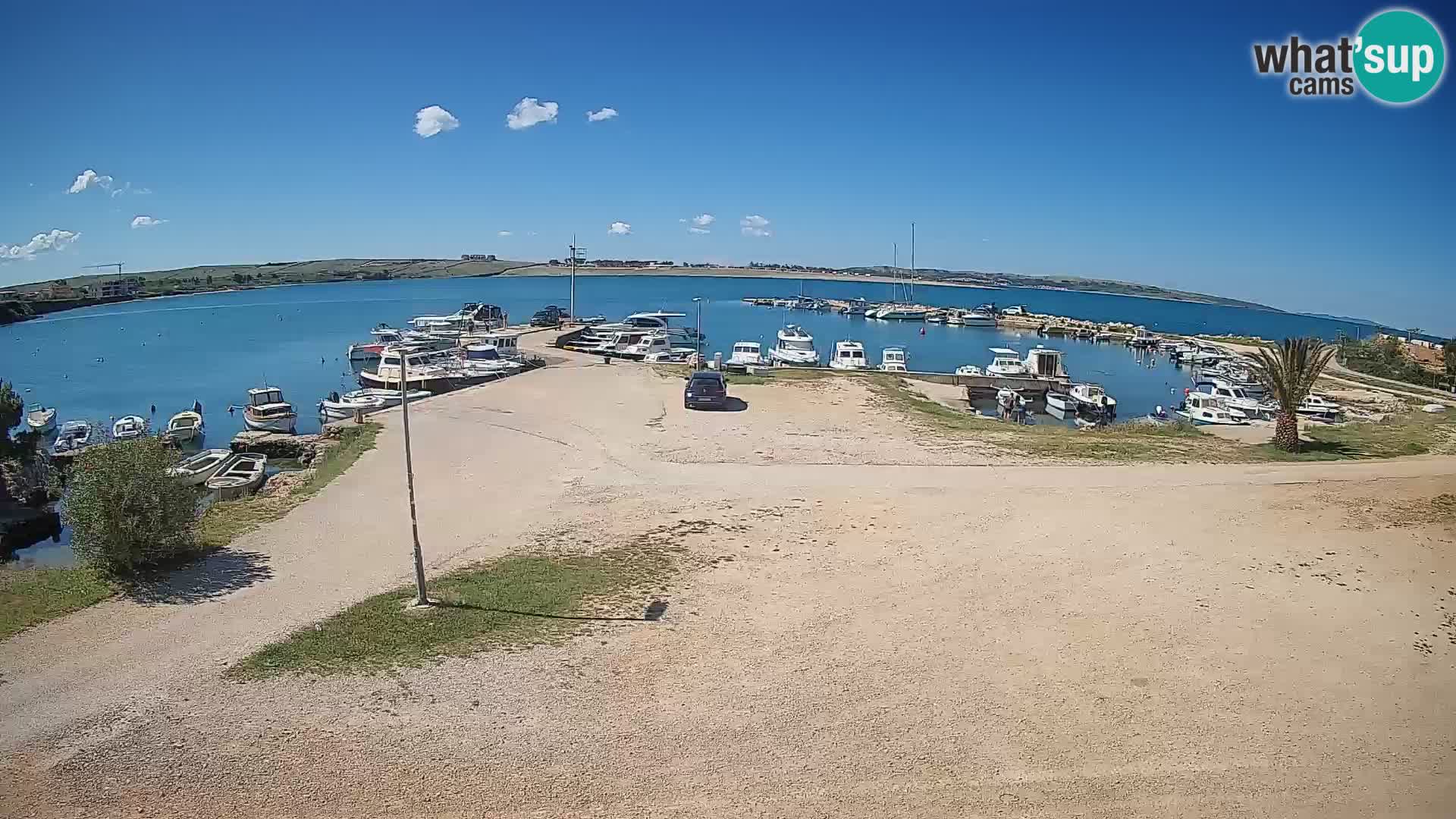 Webcam Povljana – Pag insel
