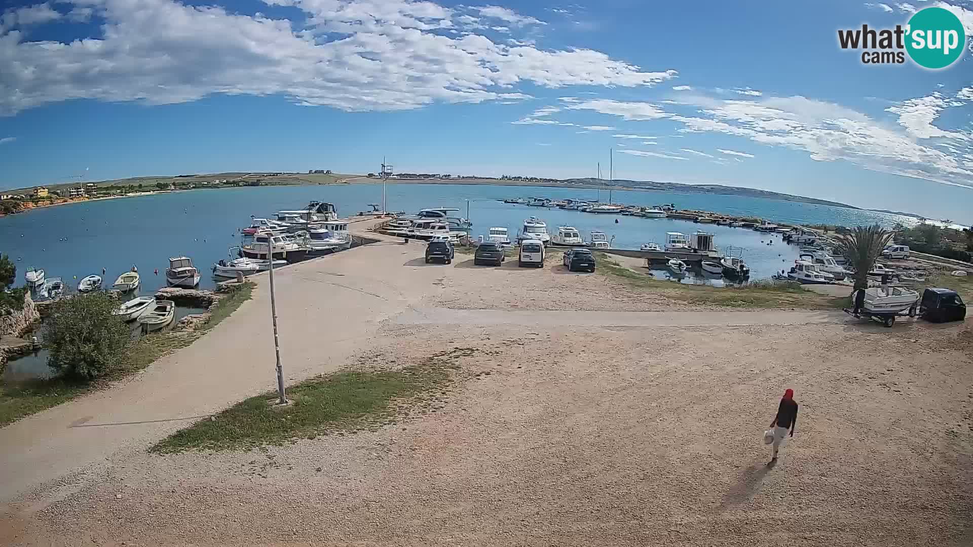 Camera en vivo Povljana – Pag isla