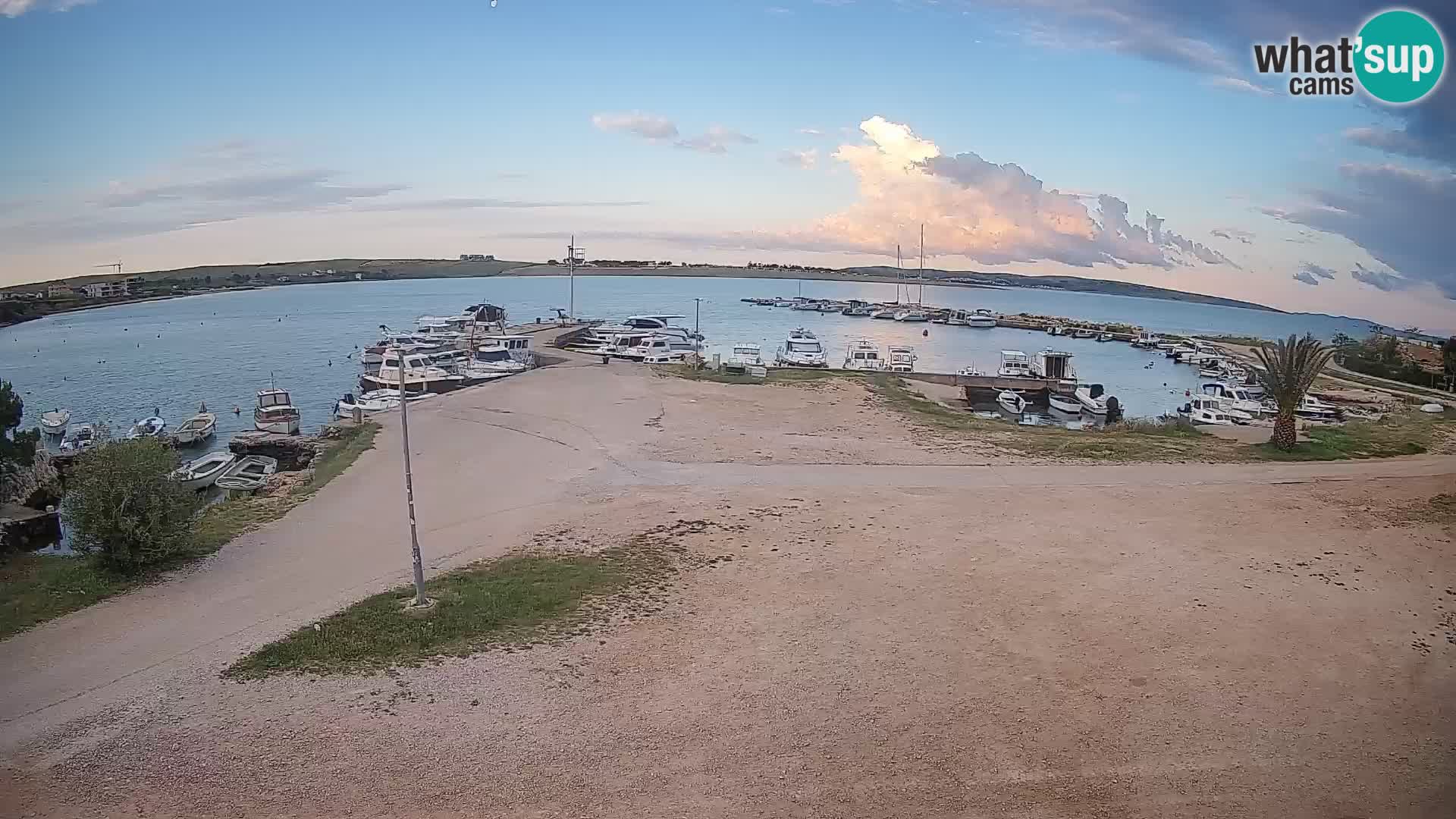Camera en vivo Povljana – Pag isla