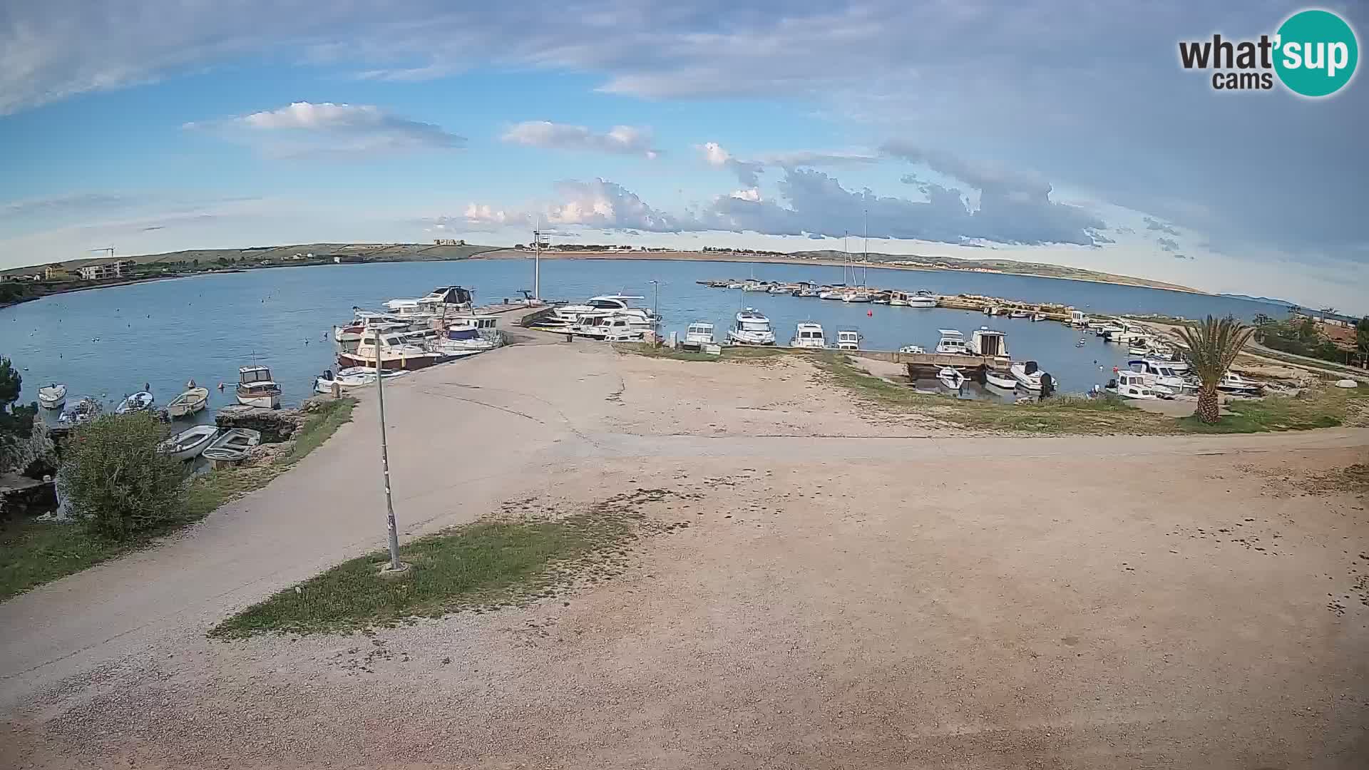 Camera en vivo Povljana – Pag isla