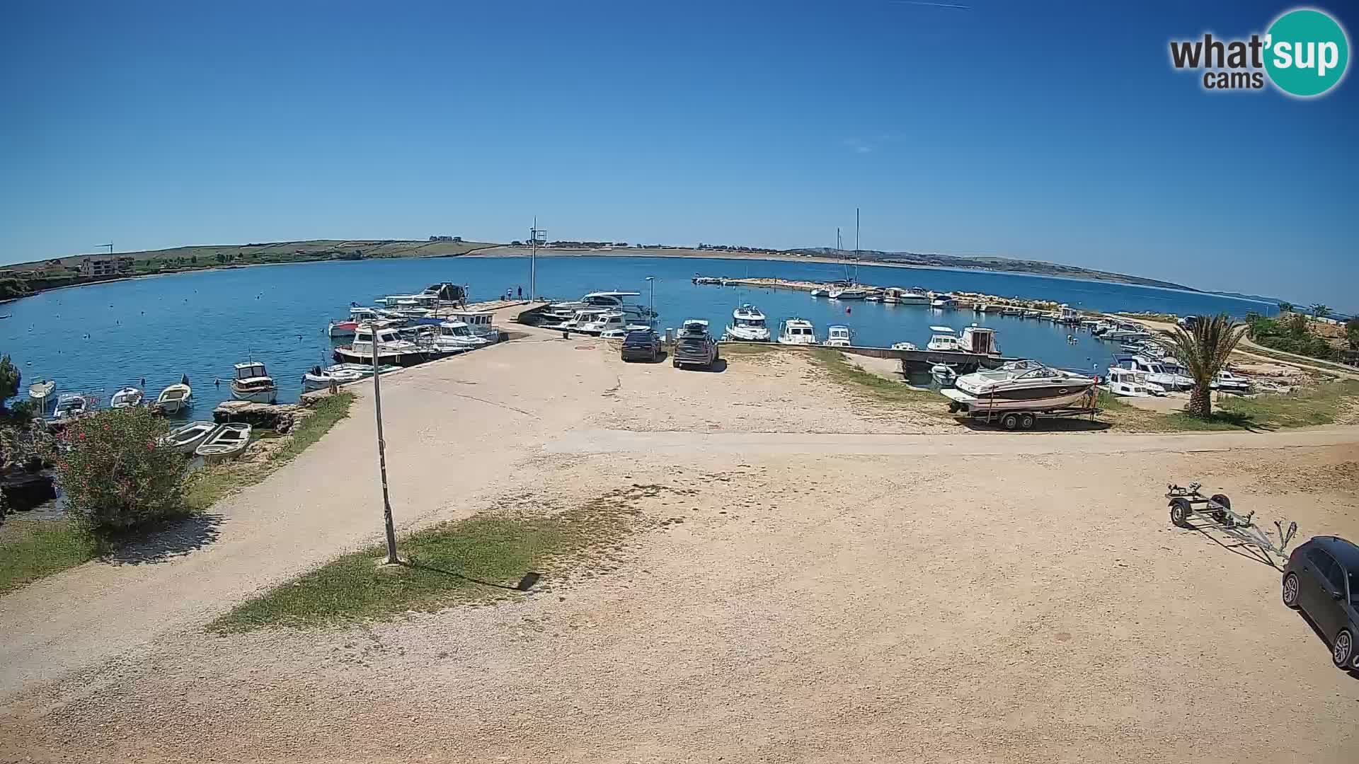 Camera en vivo Povljana – Pag isla