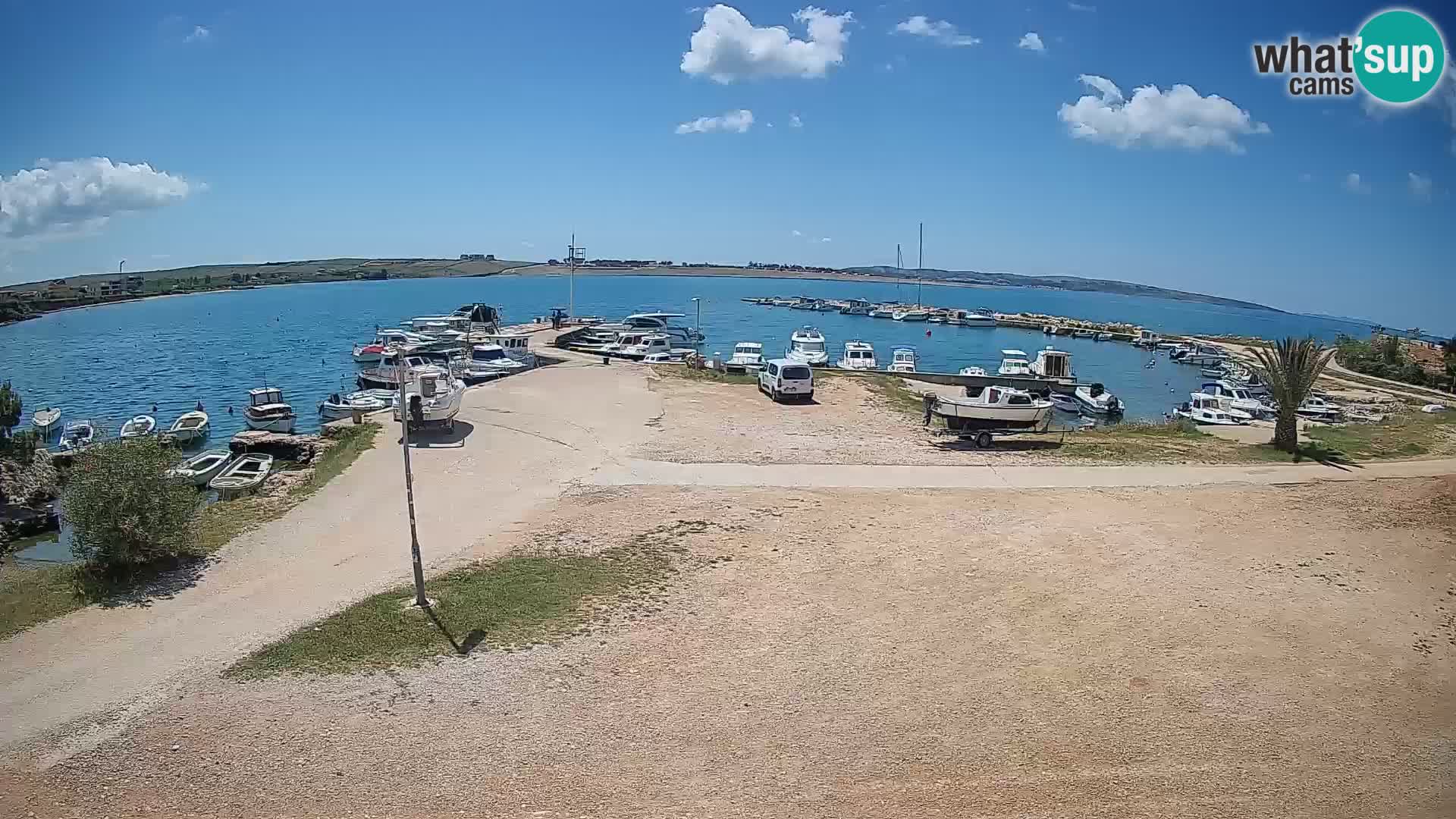 Camera en vivo Povljana – Pag isla