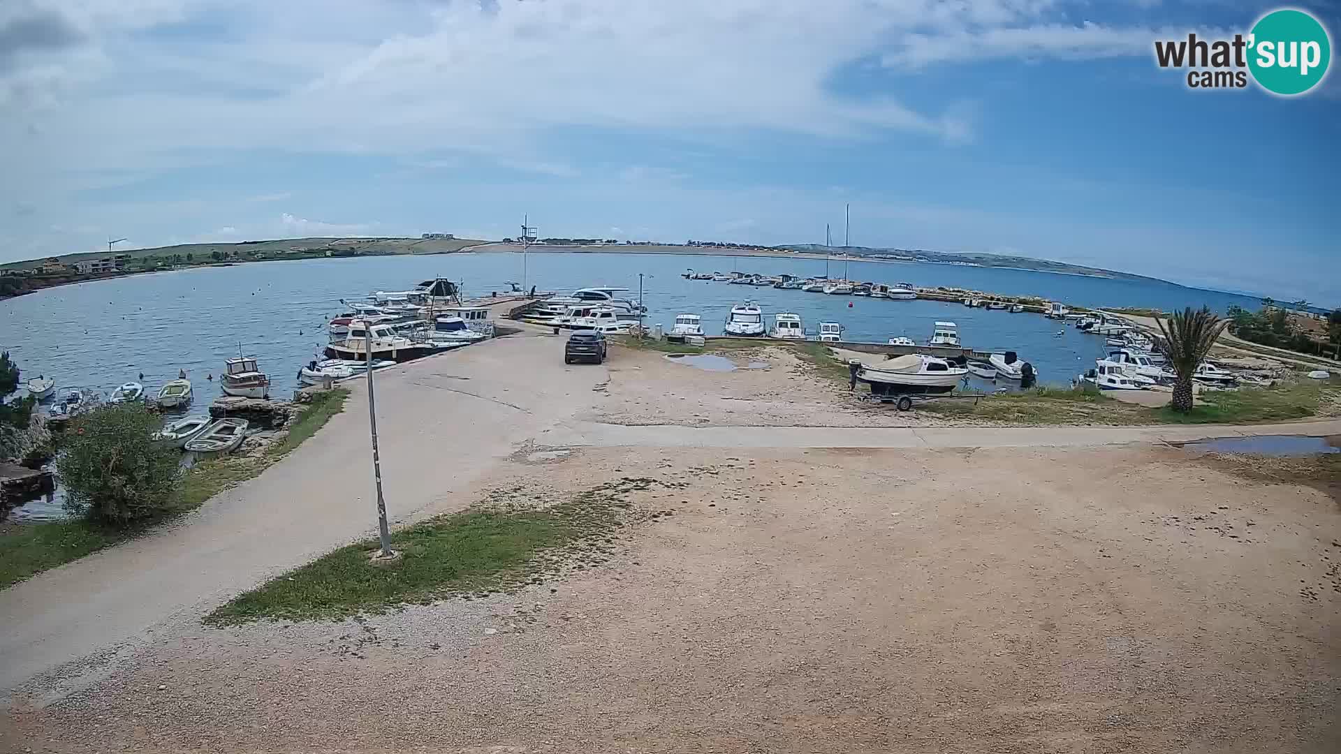 Camera en vivo Povljana – Pag isla
