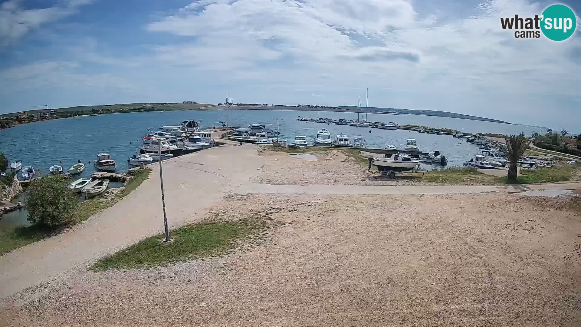 Camera en vivo Povljana – Pag isla