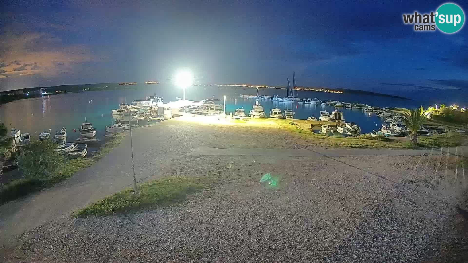 Camera en vivo Povljana – Pag isla