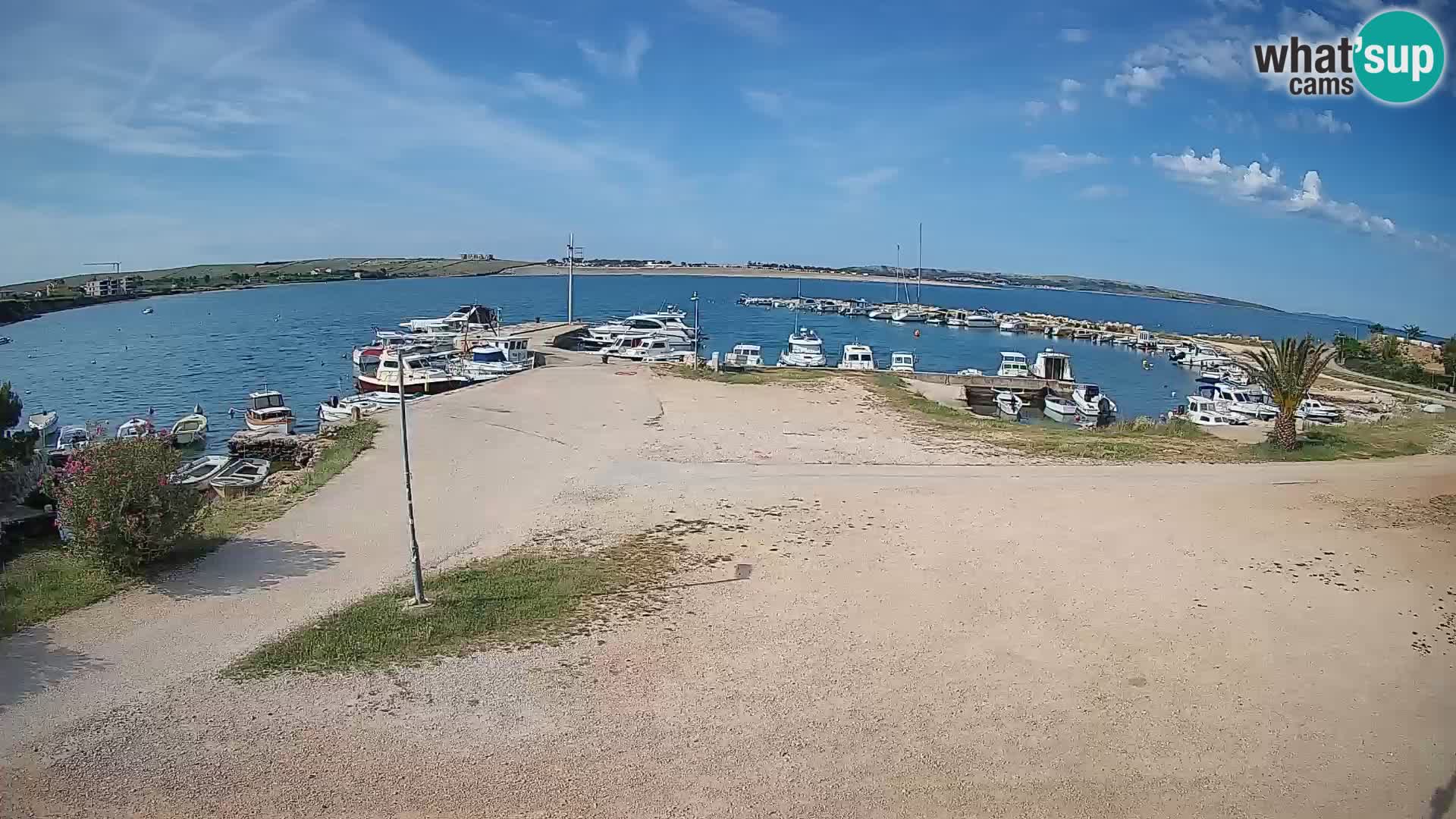 Camera en vivo Povljana – Pag isla