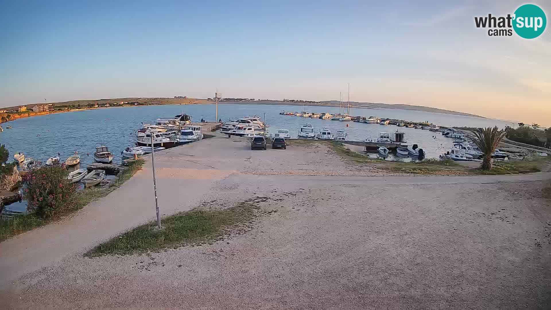 Camera en vivo Povljana – Pag isla