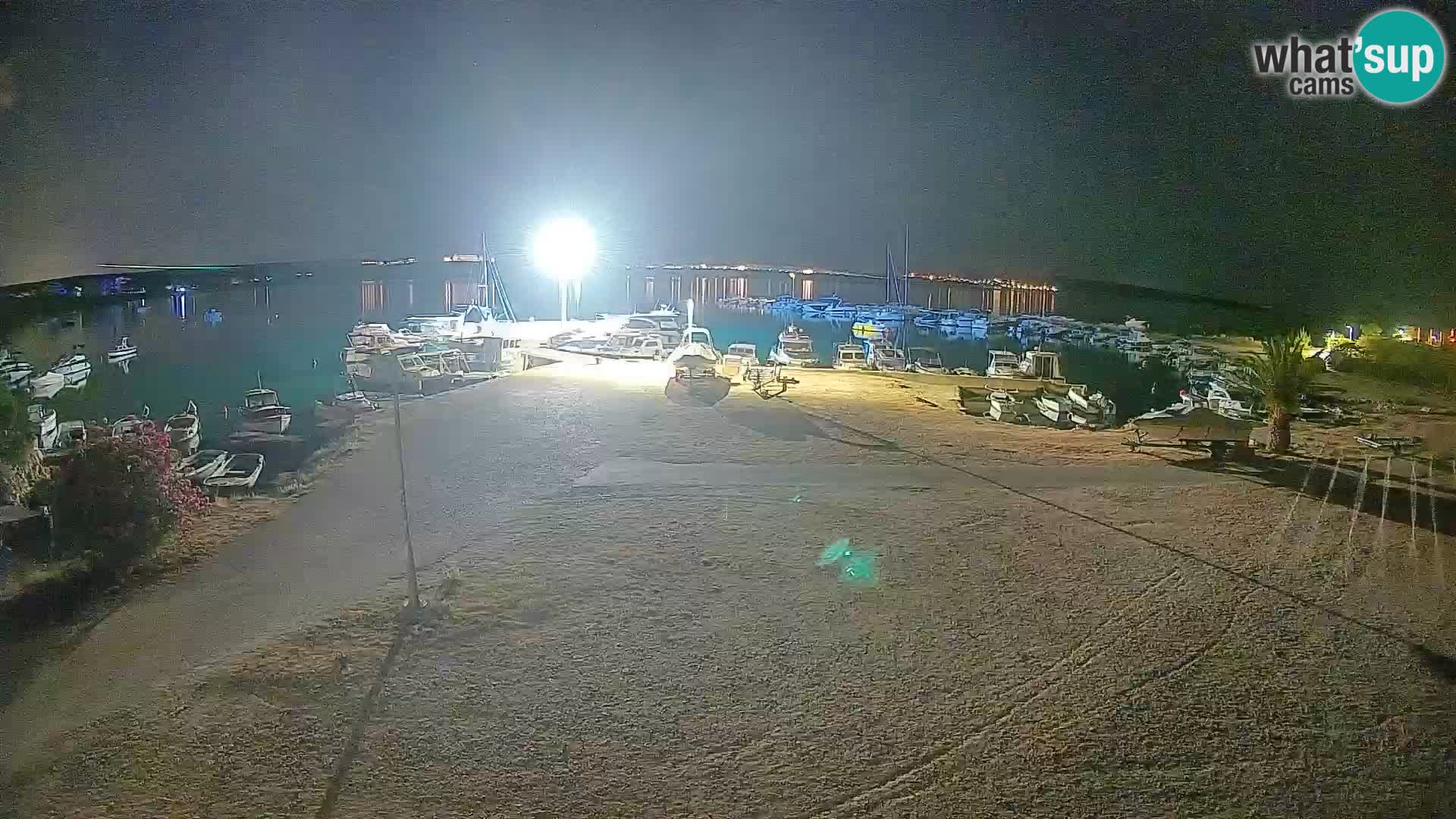 Camera en vivo Povljana – Pag isla