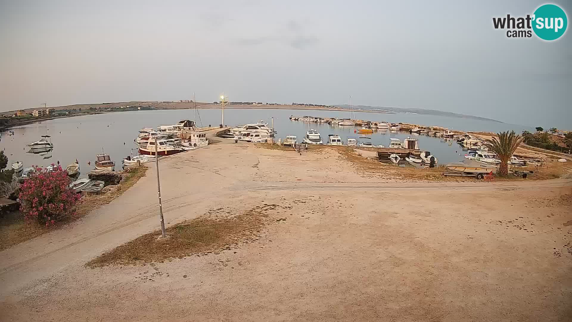 Webcam Povljana – Pag insel