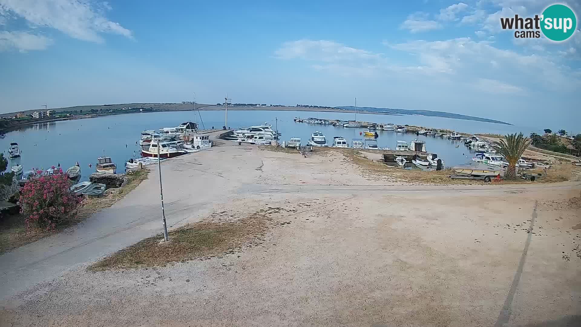 Camera en vivo Povljana – Pag isla