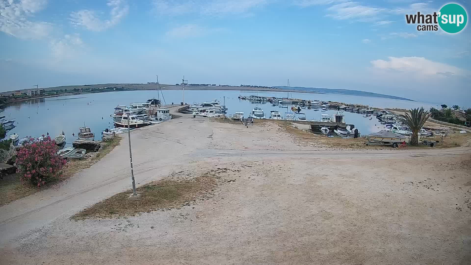 Camera en vivo Povljana – Pag isla