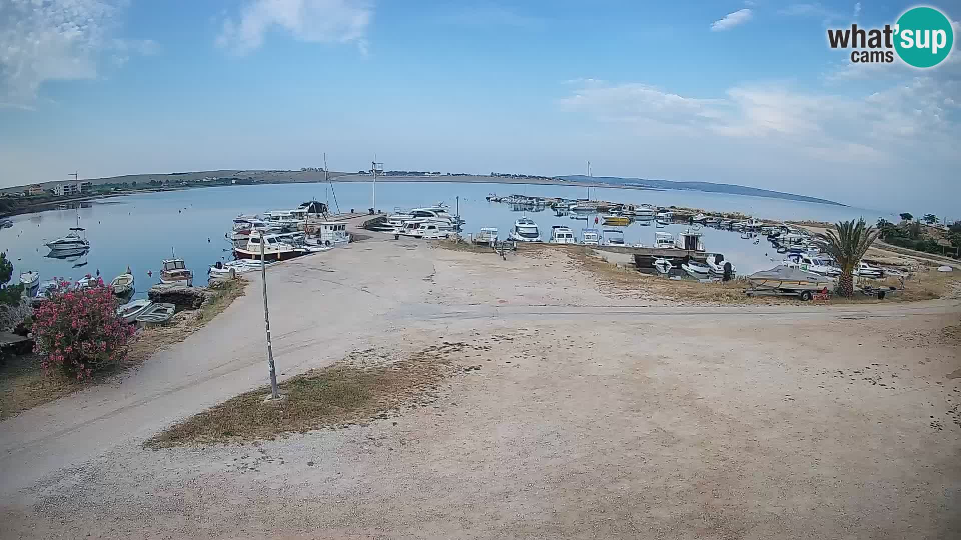 Livecam Pogliana – isola di Pago