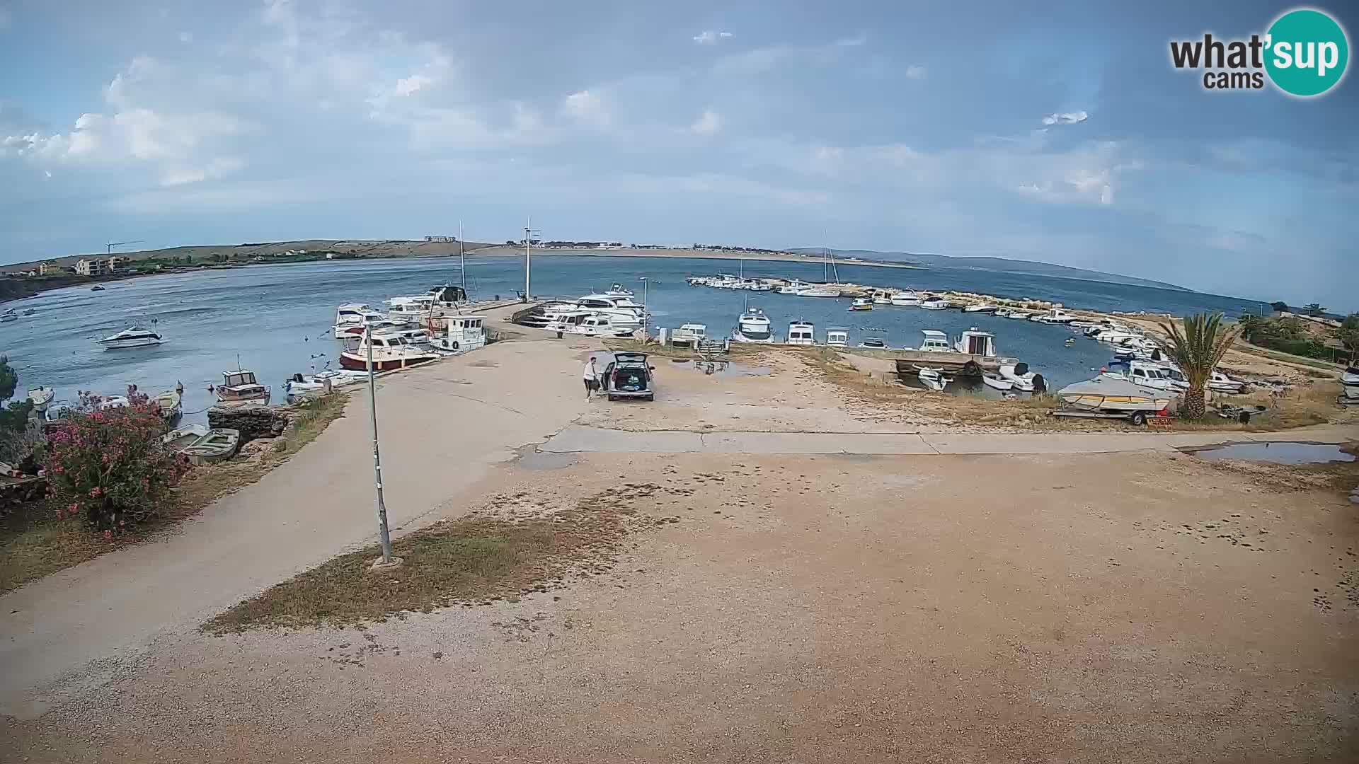 Camera en vivo Povljana – Pag isla