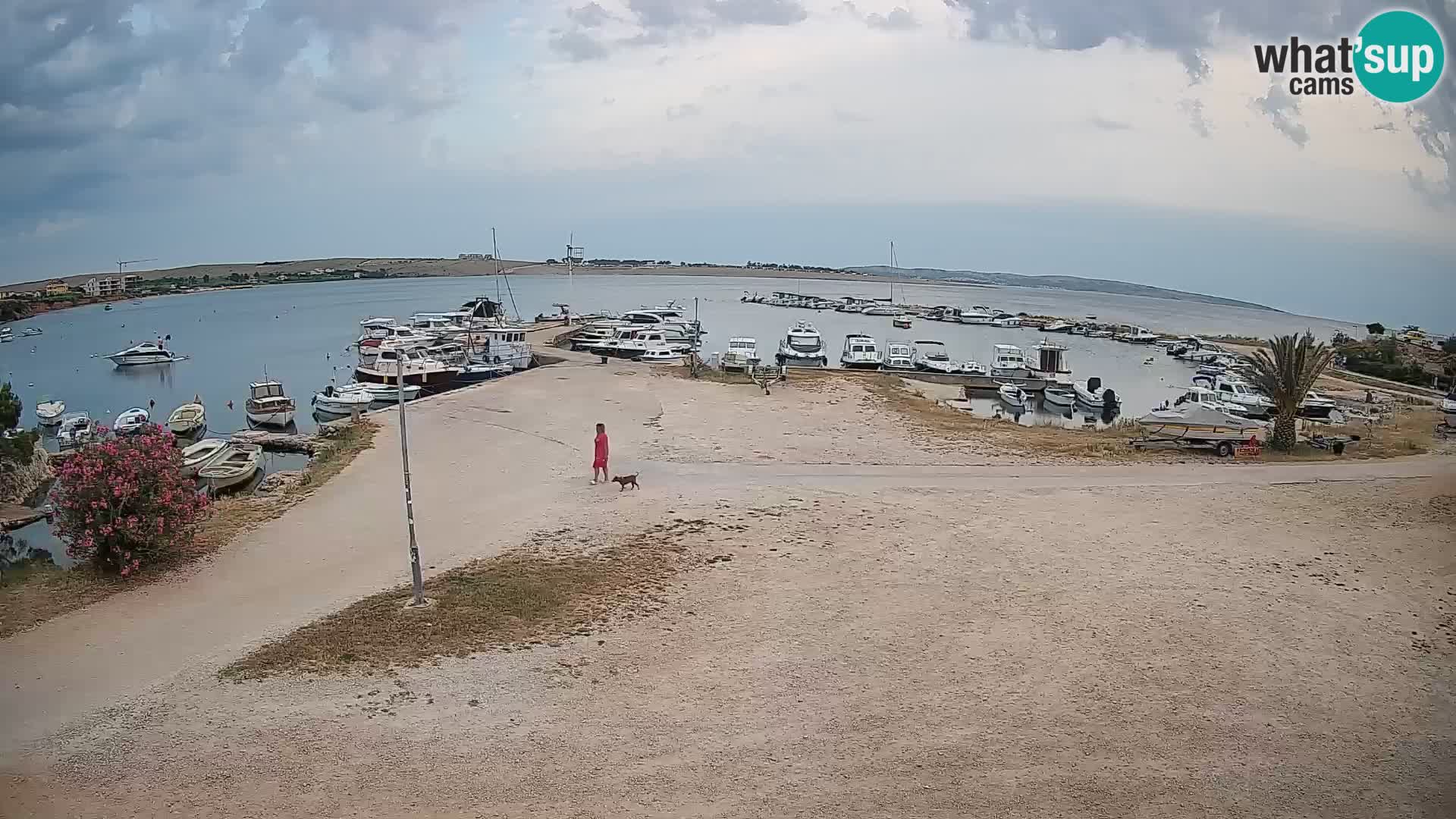 Web kamera Povljana – otok Pag
