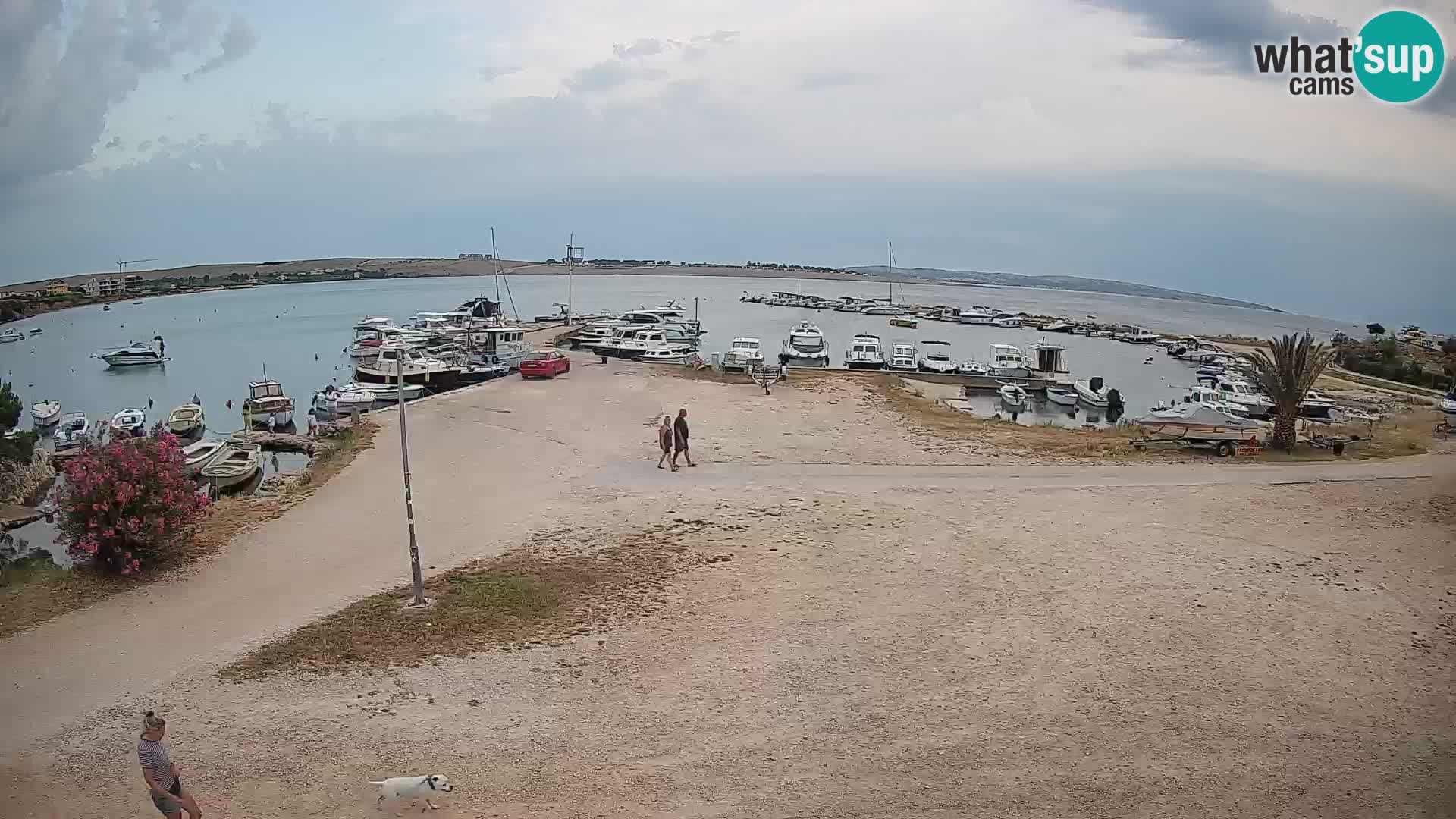 Webcam Povljana – Pag island