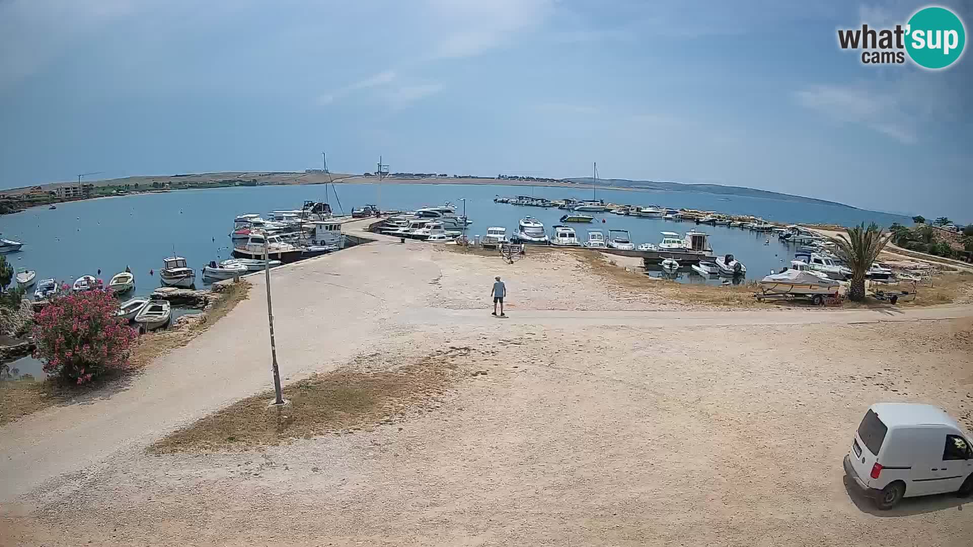 Camera en vivo Povljana – Pag isla